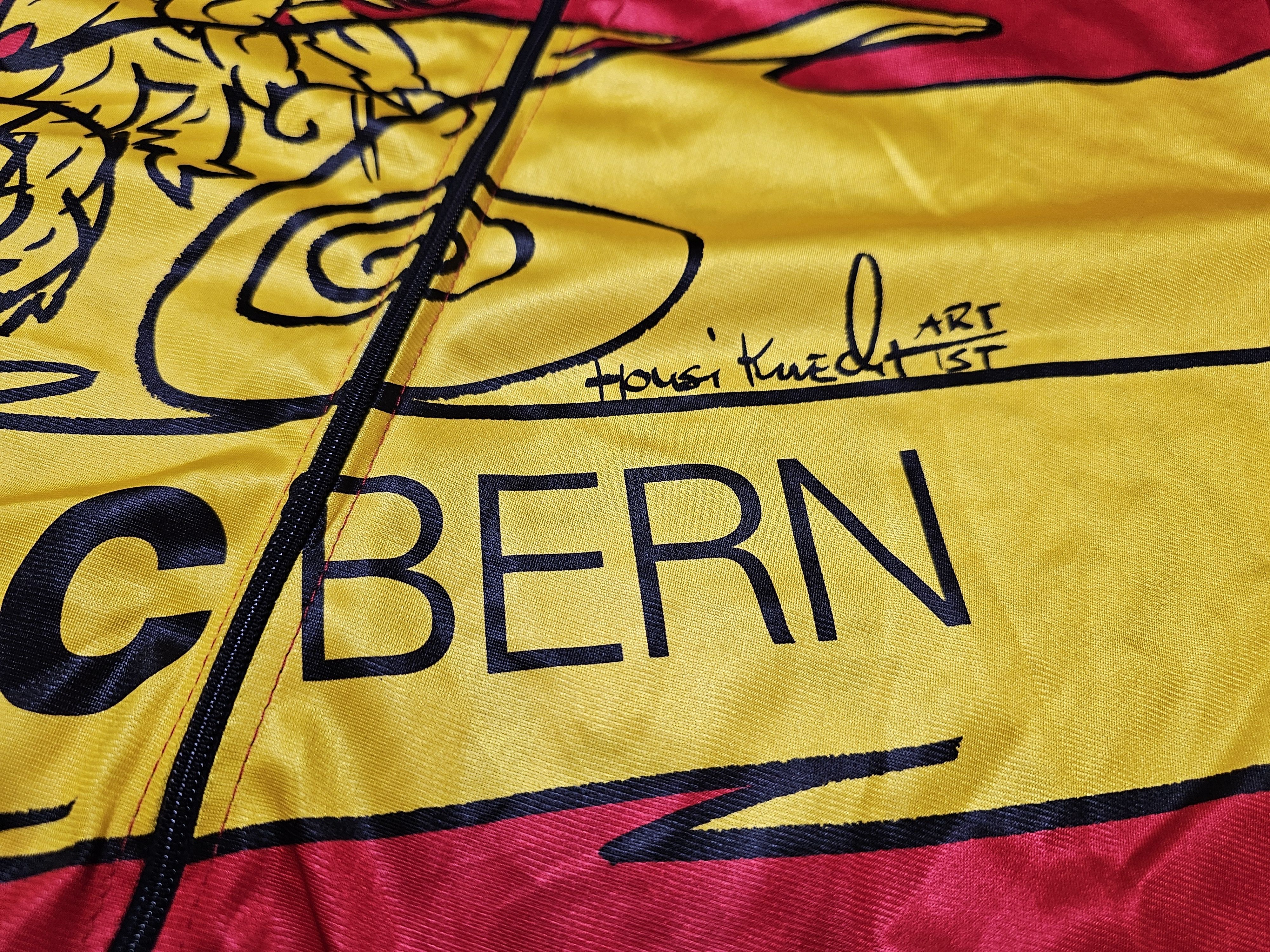 Vintage RRC BERN CYCLING JERSEY 90s SWITZERLAND CYCLING JERSEY Size US L / EU 52-54 / 3 - 4 Thumbnail