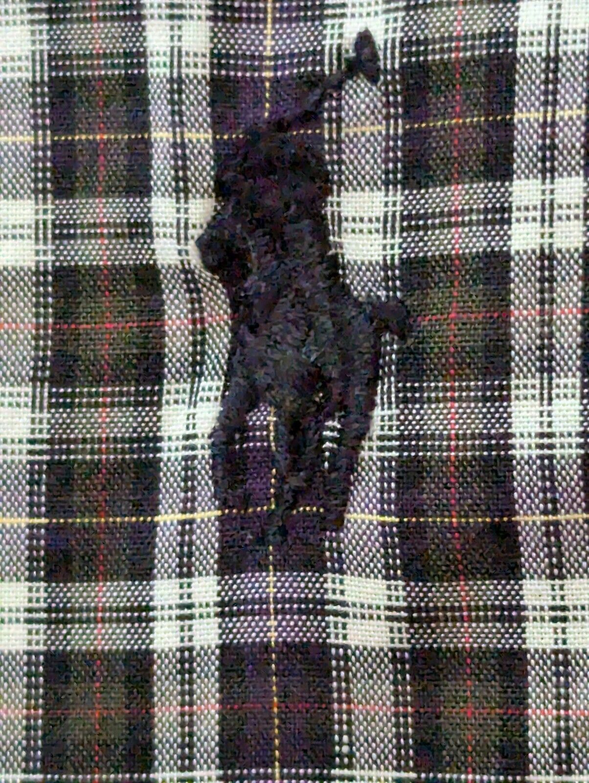Ralph Lauren Ralph Lauren Yarmouth Button Down Shirt 15.5 32/33 Plaid LS Size US S / EU 44-46 / 1 - 5 Thumbnail