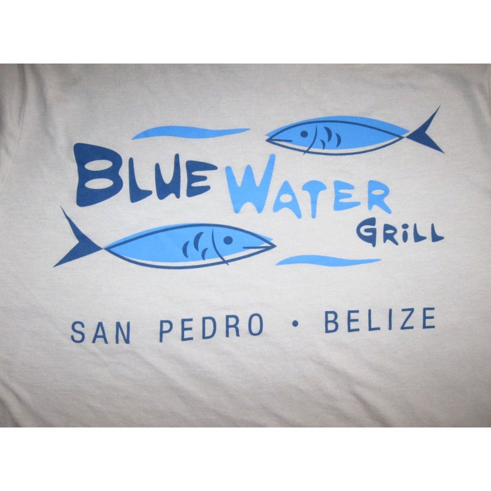 Vintage BLUE WATER GRILL San Pedro Belize Shirt T Small Adult PARADISE BEACH Sun Men's Size US S / EU 44-46 / 1 - 4 Thumbnail