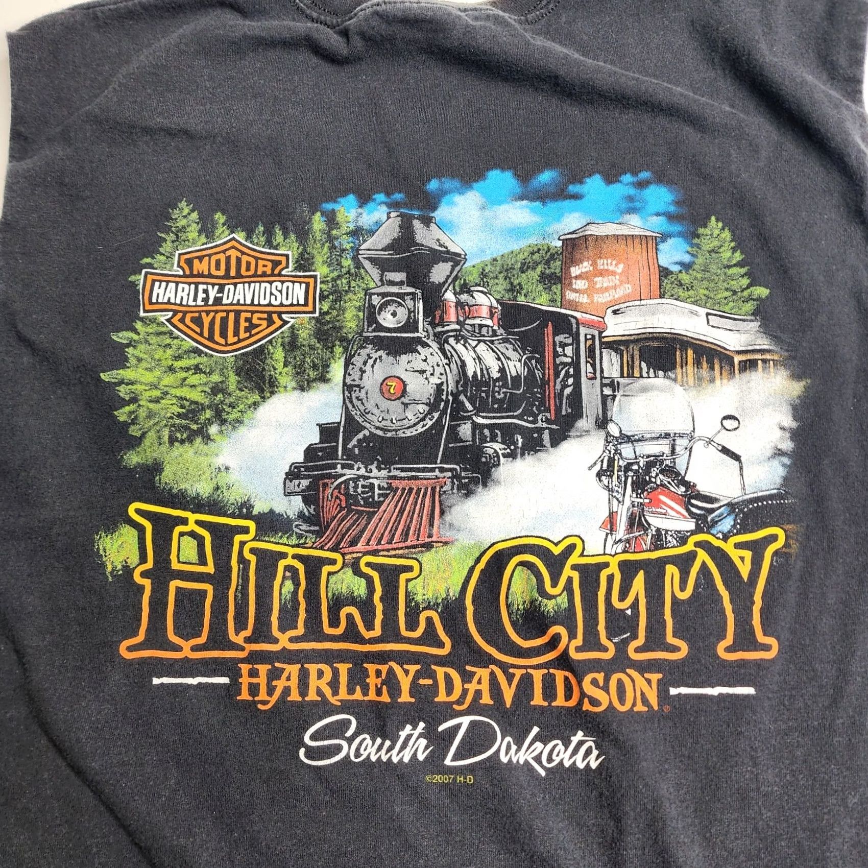 Harley Davidson Harley-Davidson Sleeveless Shirt XL Black Hills Rally 2012 Hill City South Dakota Mens Size US XL / EU 56 / 4 - 7 Thumbnail