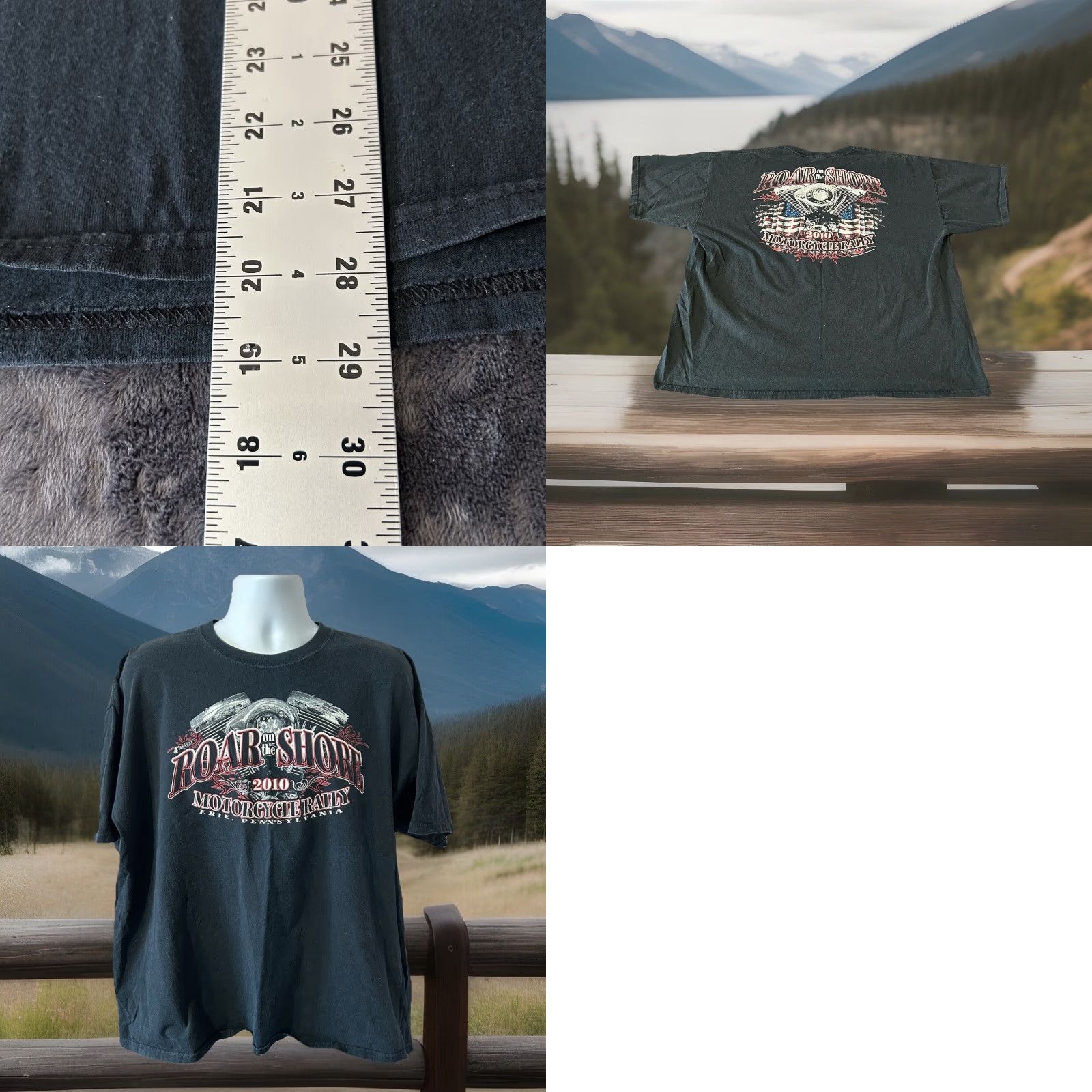 Gildan VINTAGE Roar On The Shore Motorcycle Rally 2010 Shirt Men 2XL Black Graphic Tee Harley Biker Gildan Ultra Cotton Size US XXL / EU 58 / 5 - 11 Thumbnail