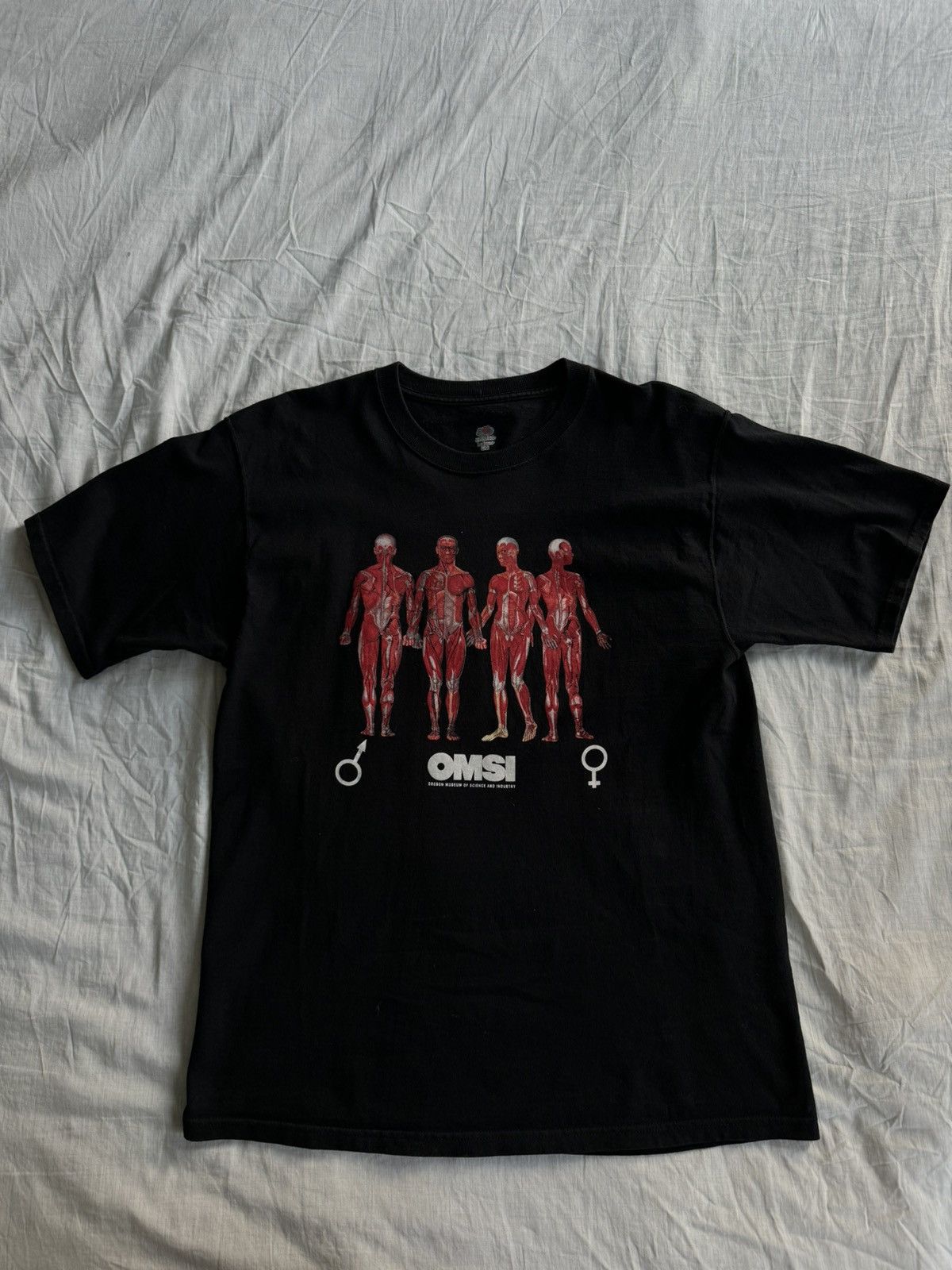 Vintage Vintage Anatomy Fruit of the Loom tee Size US L / EU 52-54 / 3 - 1 Thumbnail