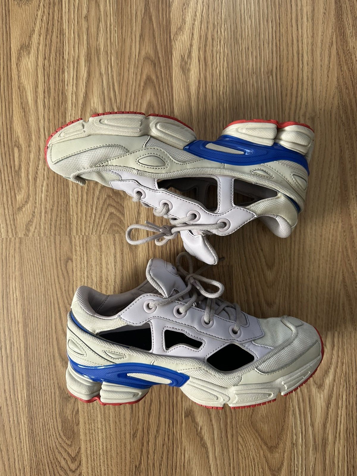 raf simons replicant