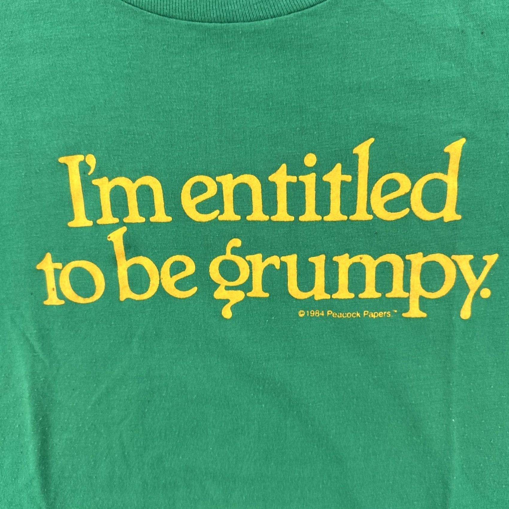 Hanes VINTAGE Hanes Fifty-Fifty L Green Single Stitch Shirt 1984 Grumpy Humor Tee 80s Mens Shirt Size US L / EU 52-54 / 3 - 6 Thumbnail
