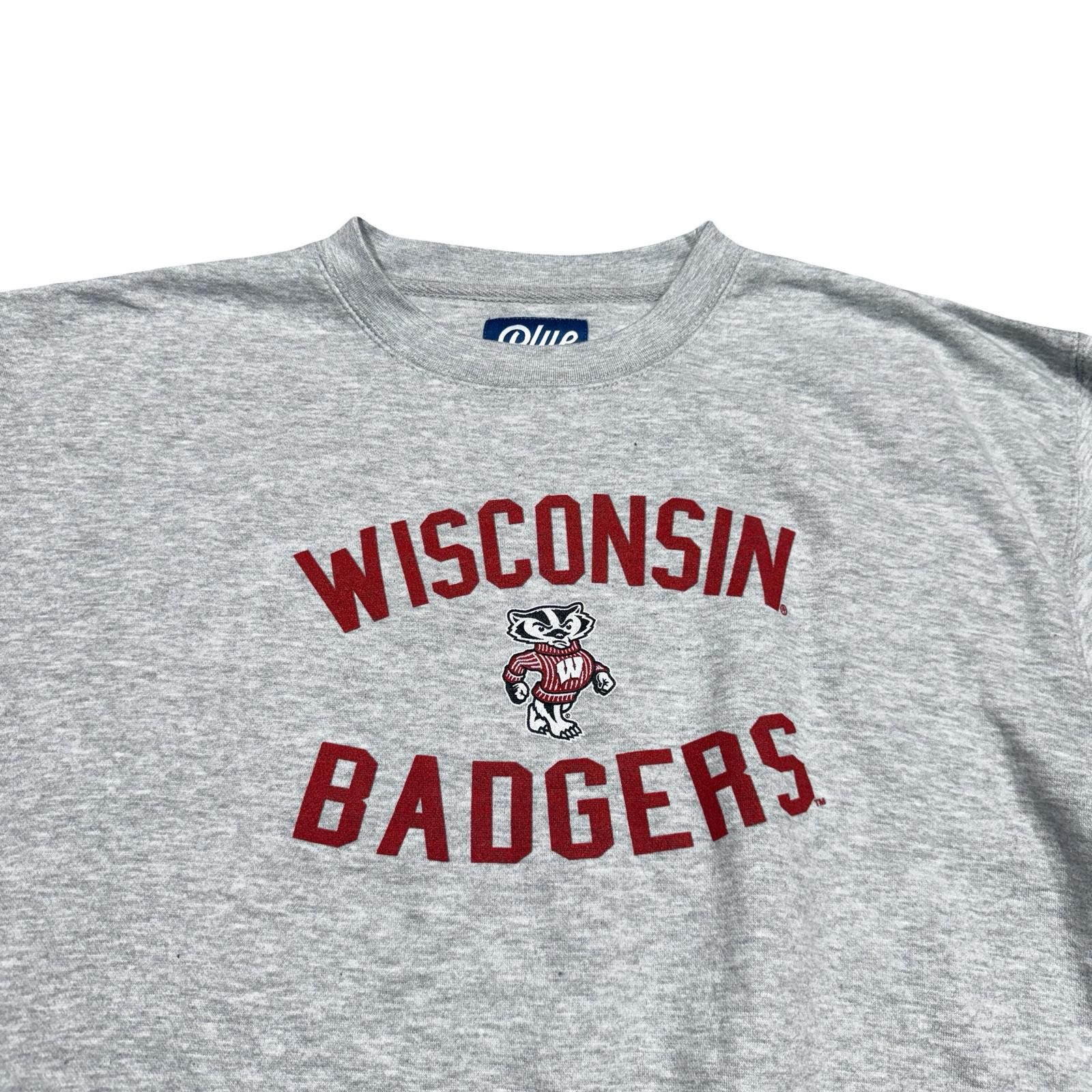 Other Wisconsin Badgers Grey Crewneck Sweatshirt Size US M / EU 48-50 / 2 - 2 Thumbnail