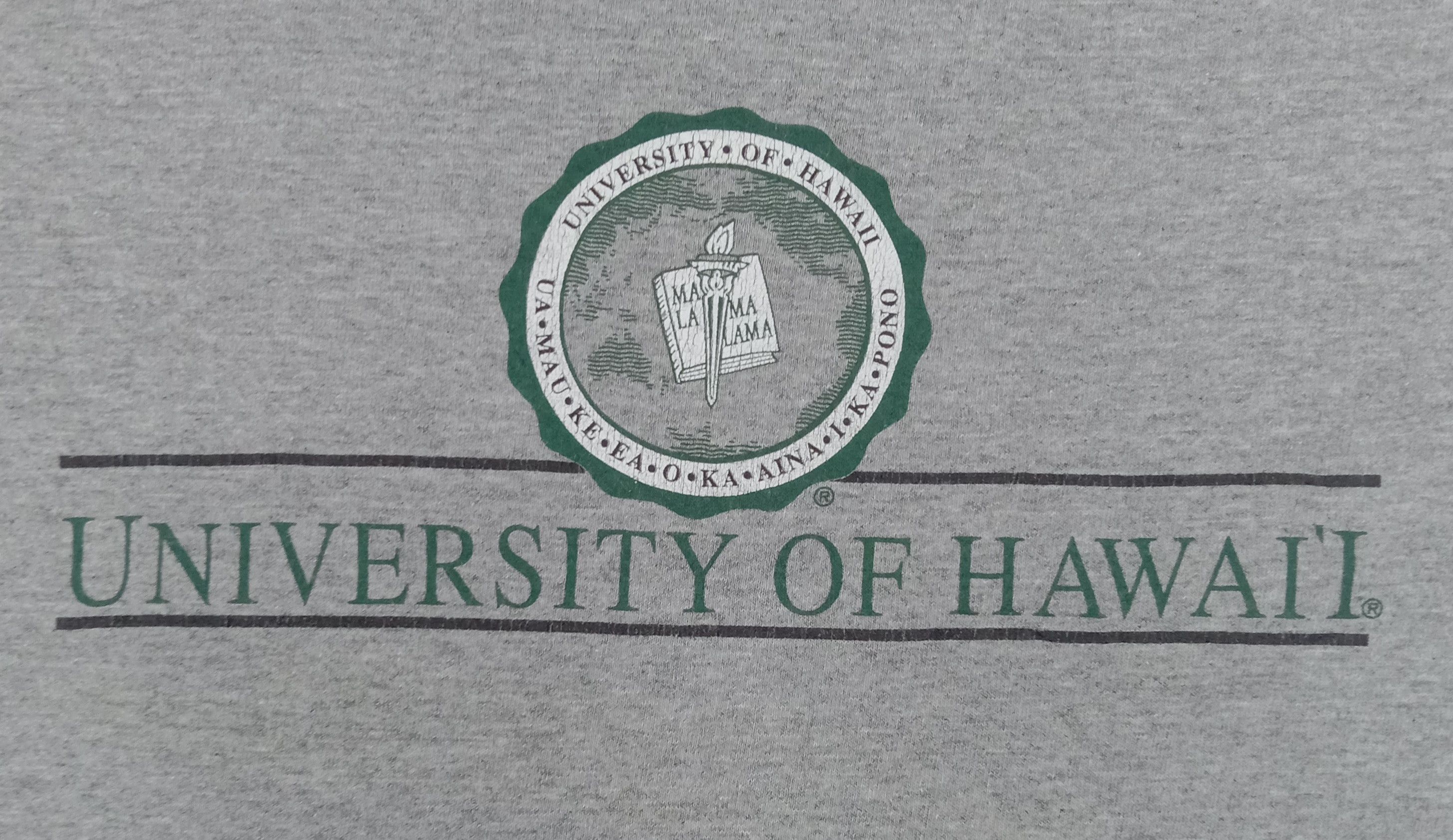 Jansport Vintage Jansport University Of Hawaii T Shirt Size US L / EU 52-54 / 3 - 2 Thumbnail