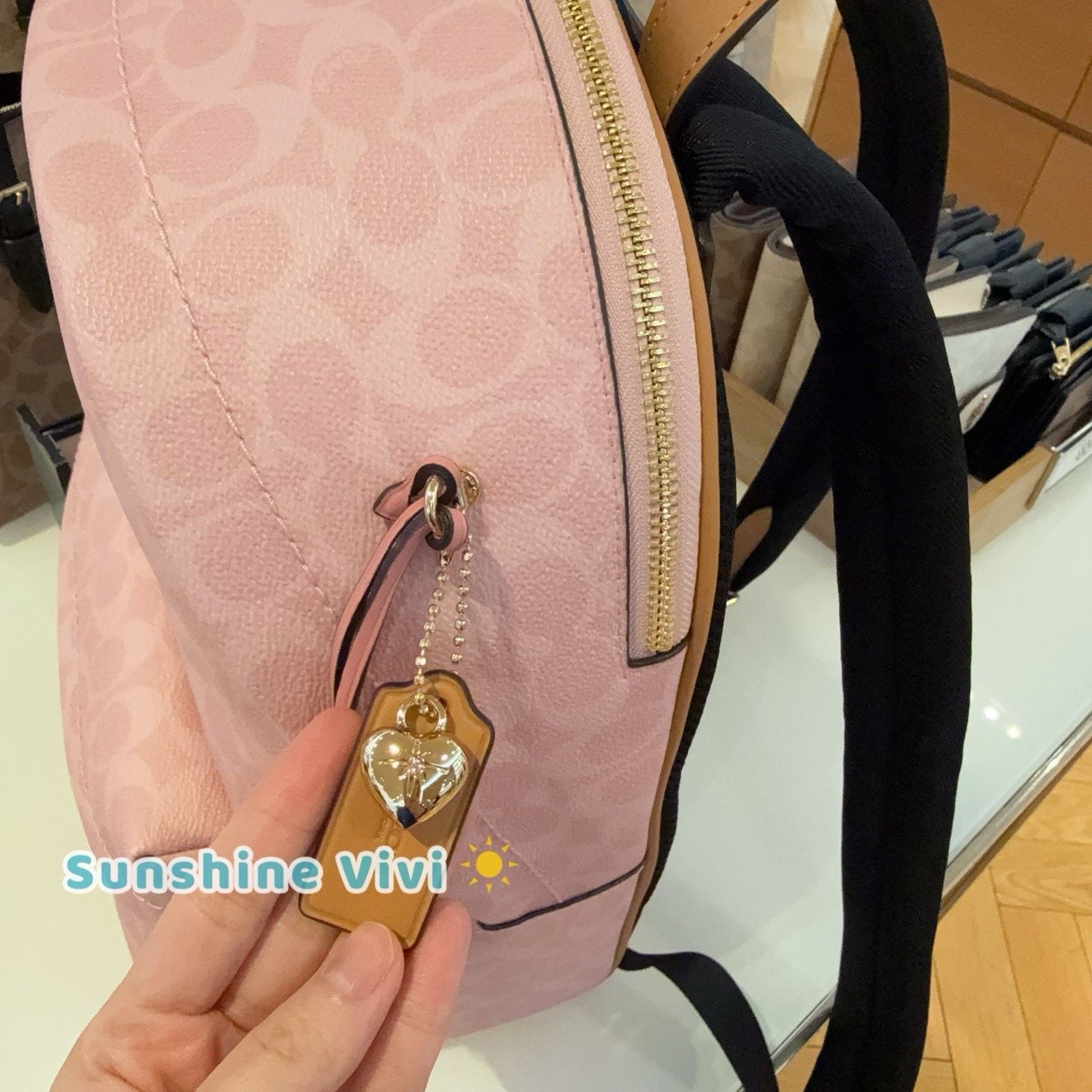 Coach NWT Coach CEF46 Taylor Small Backpack Charms Powder pink Size ONE SIZE - 6 Thumbnail