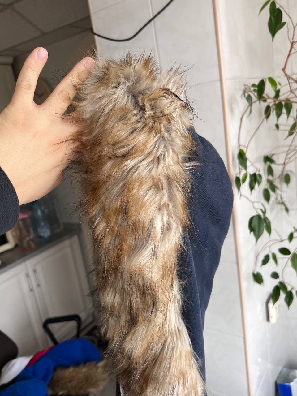 Abercrombie & Fitch Y2K Abercrombie & Fitch Faux Fuzzy Fur Hoodie Lgb Style Size L / US 10 / IT 46 - 12 Thumbnail