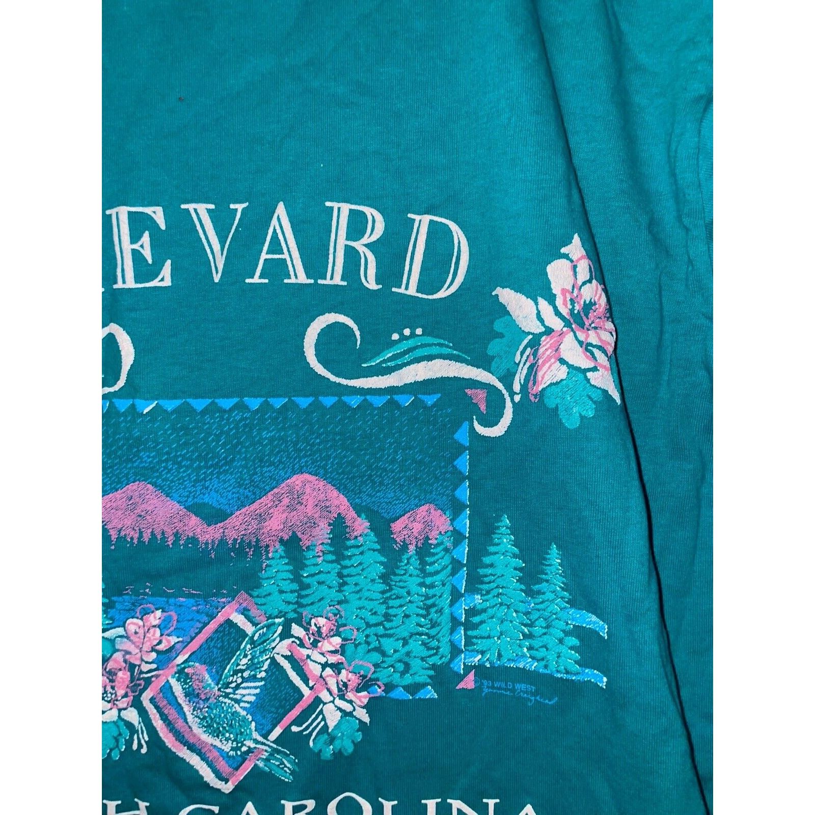 Jerzees Vintage Brevard North Carolina Shirt teal Tee VTG 90s Medium Size US M / EU 48-50 / 2 - 5 Thumbnail