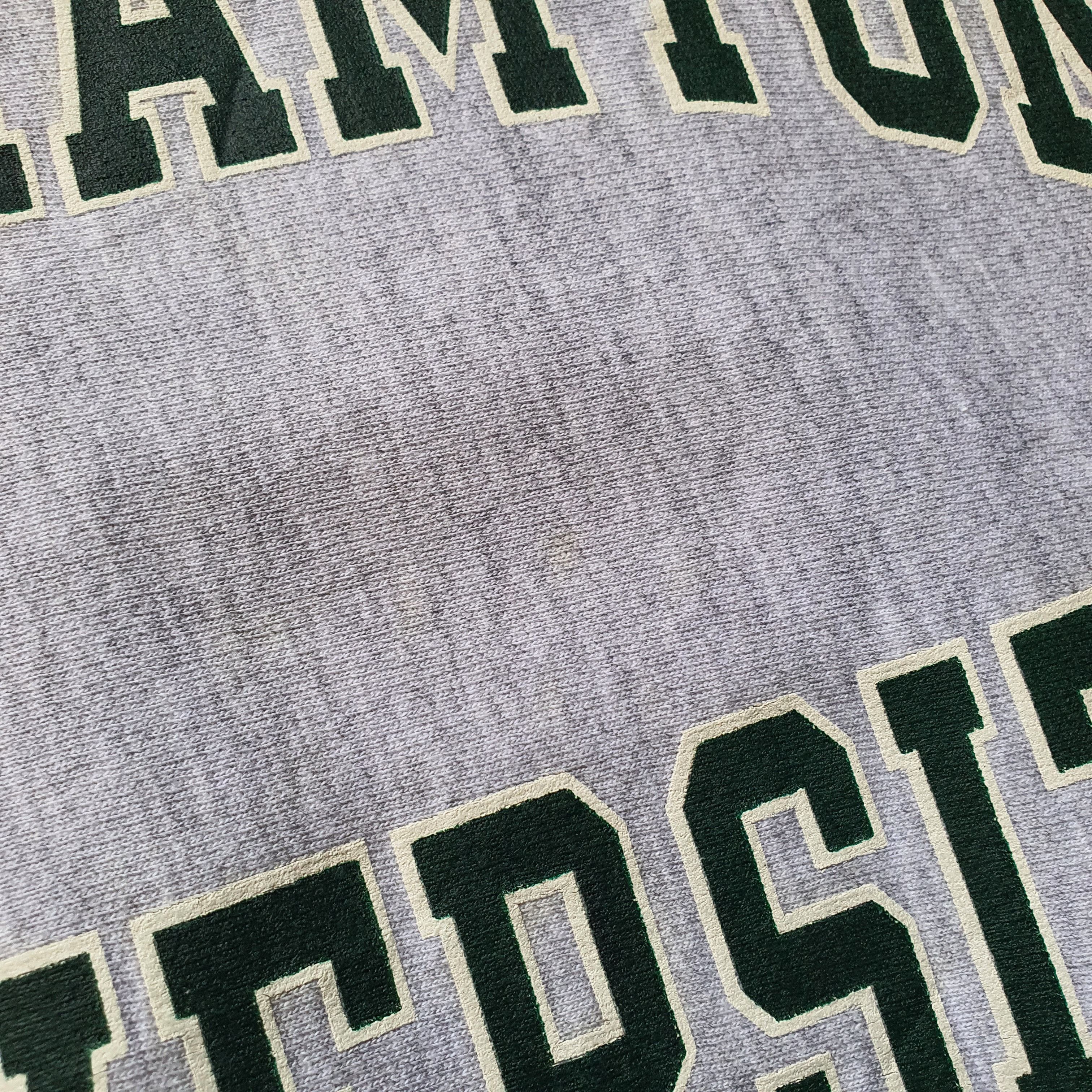 Champion × Vintage 90s Champion Binghamton University New York Sweatshirt L Size US L / EU 52-54 / 3 - 10 Thumbnail