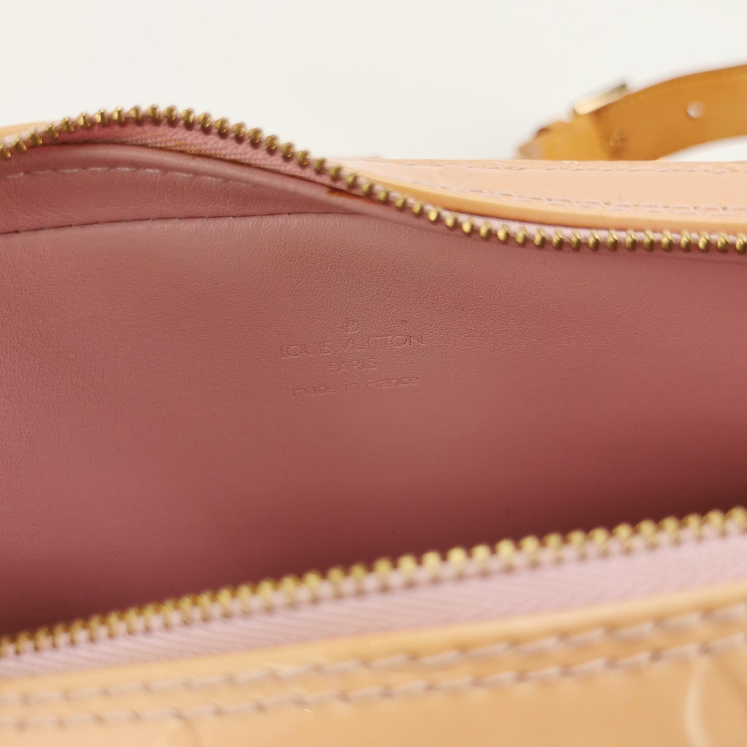 Louis Vuitton Louis Vuitton (LV) Antique Leather Embossed Waist Bag and C Size ONE SIZE - 2 Thumbnail