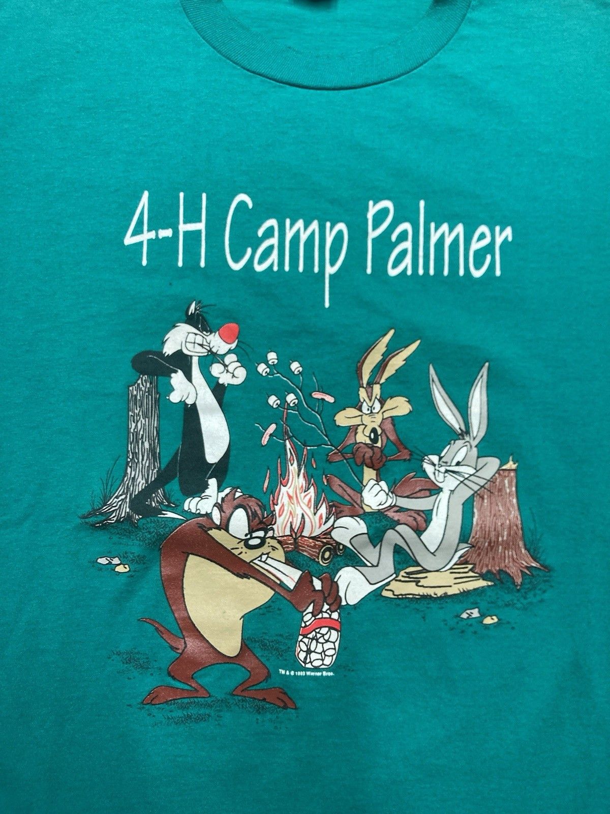 Velva Sheen × Vintage 90s t shirt 4H camp Palmer ohio looney toons skunk man XL Size US XL / EU 56 / 4 - 4 Thumbnail
