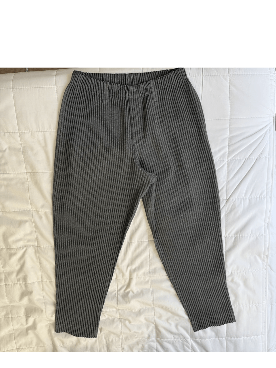 Homme Plisse Issey Miyake Homme Plissé Issey Miyake Pleated Light Pants Grey Melange Size US 34 / EU 50 - 3 Thumbnail