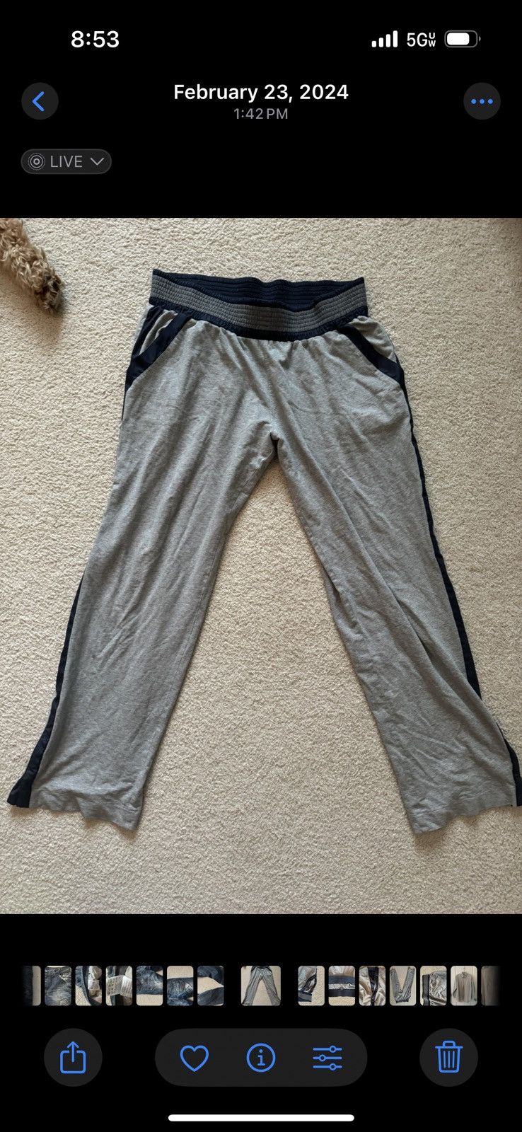 Dolce & Gabbana Dolce & Gabbana Flared Sweatpants Size US 36 / EU 52 - 7 Thumbnail