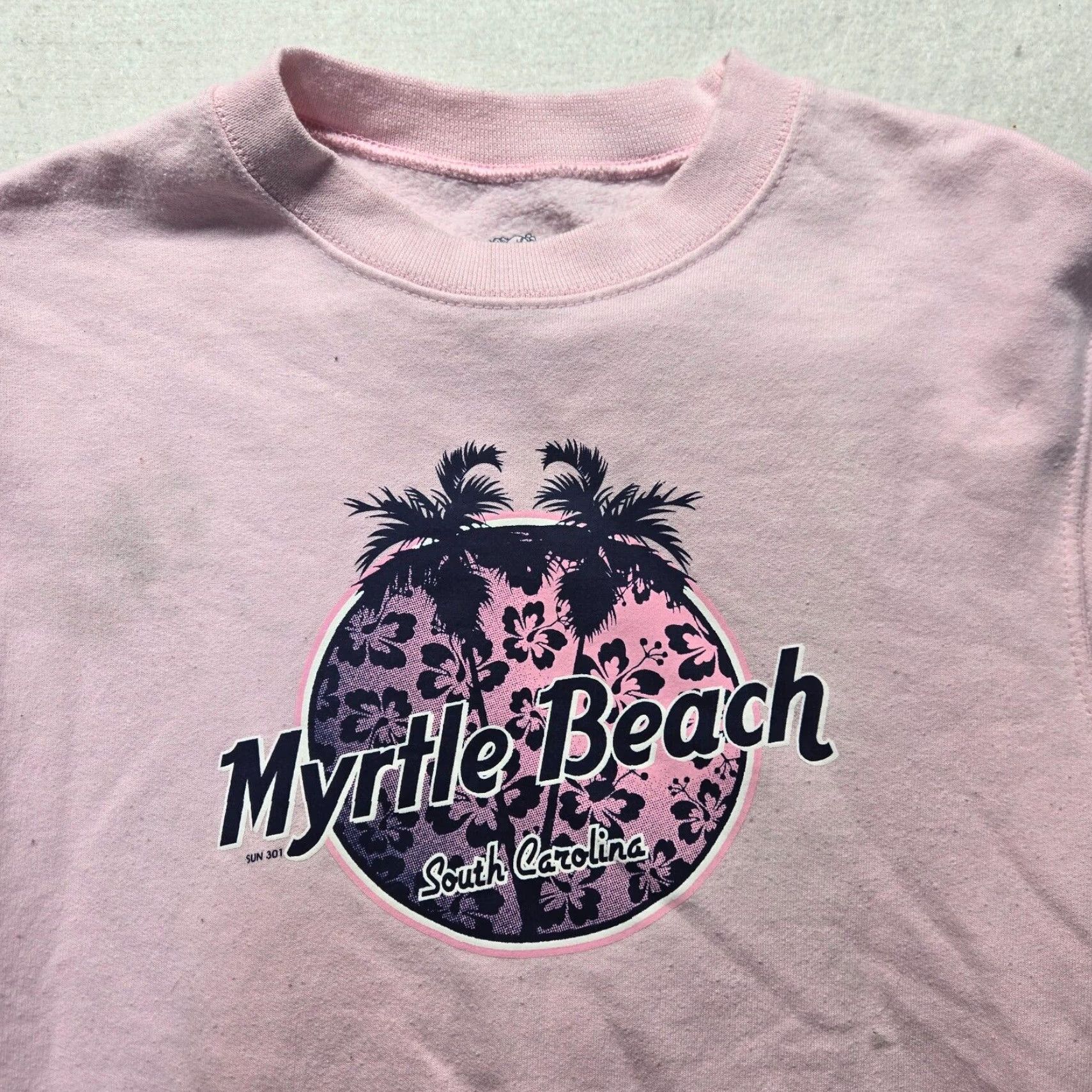 Fruit Of The Loom Fruit of the Loom Sweatshirt Women’s Size S Pink Knit Crew Neck Pullover Beach Theme All Seasons Brand New To You Size S / US 4 / IT 40 - 2 Thumbnail