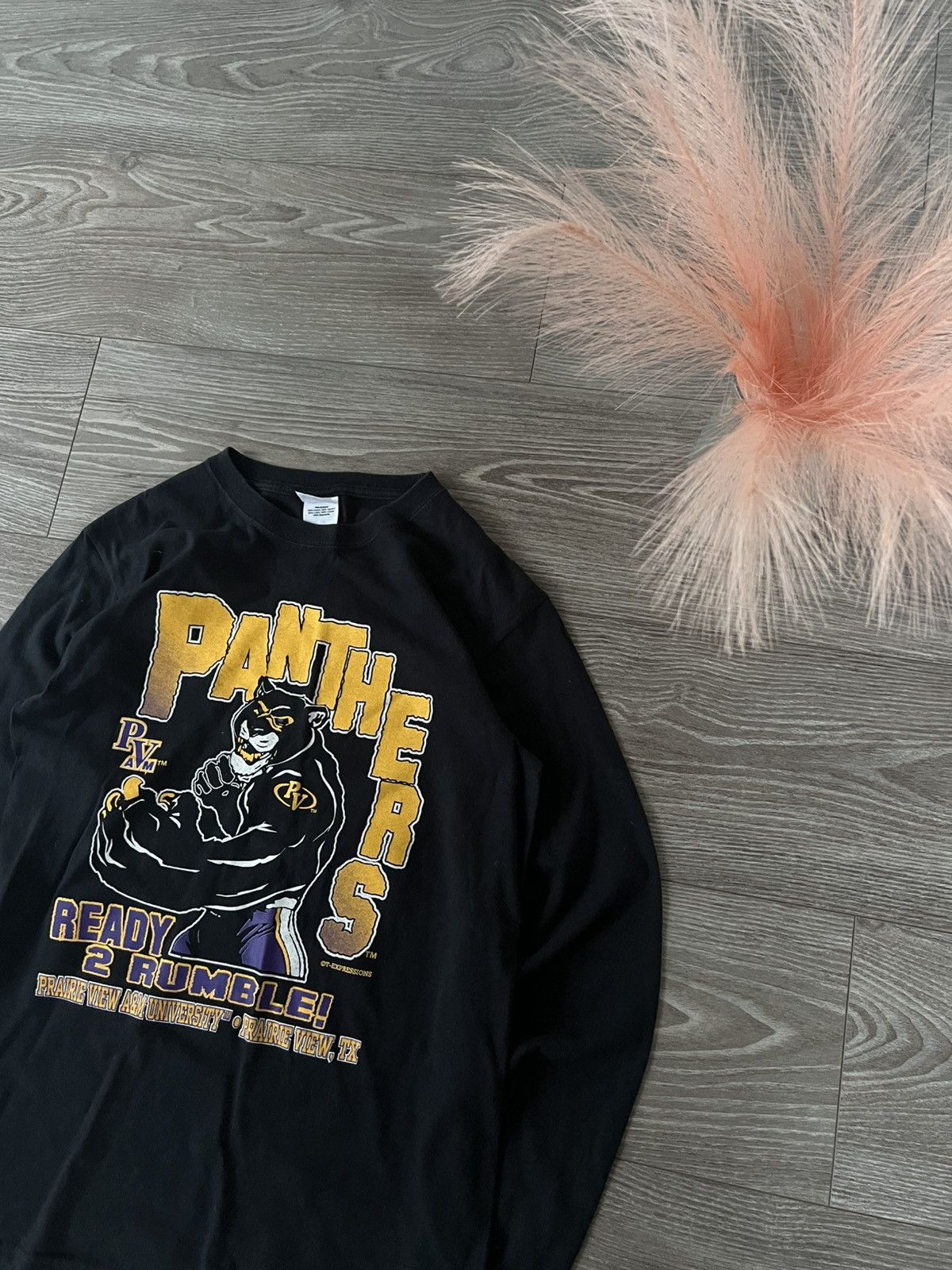 Band Tees × Vintage ‼️Panthers by Anvil Big Logo Print Long Sleeve Size US L / EU 52-54 / 3 - 2 Thumbnail