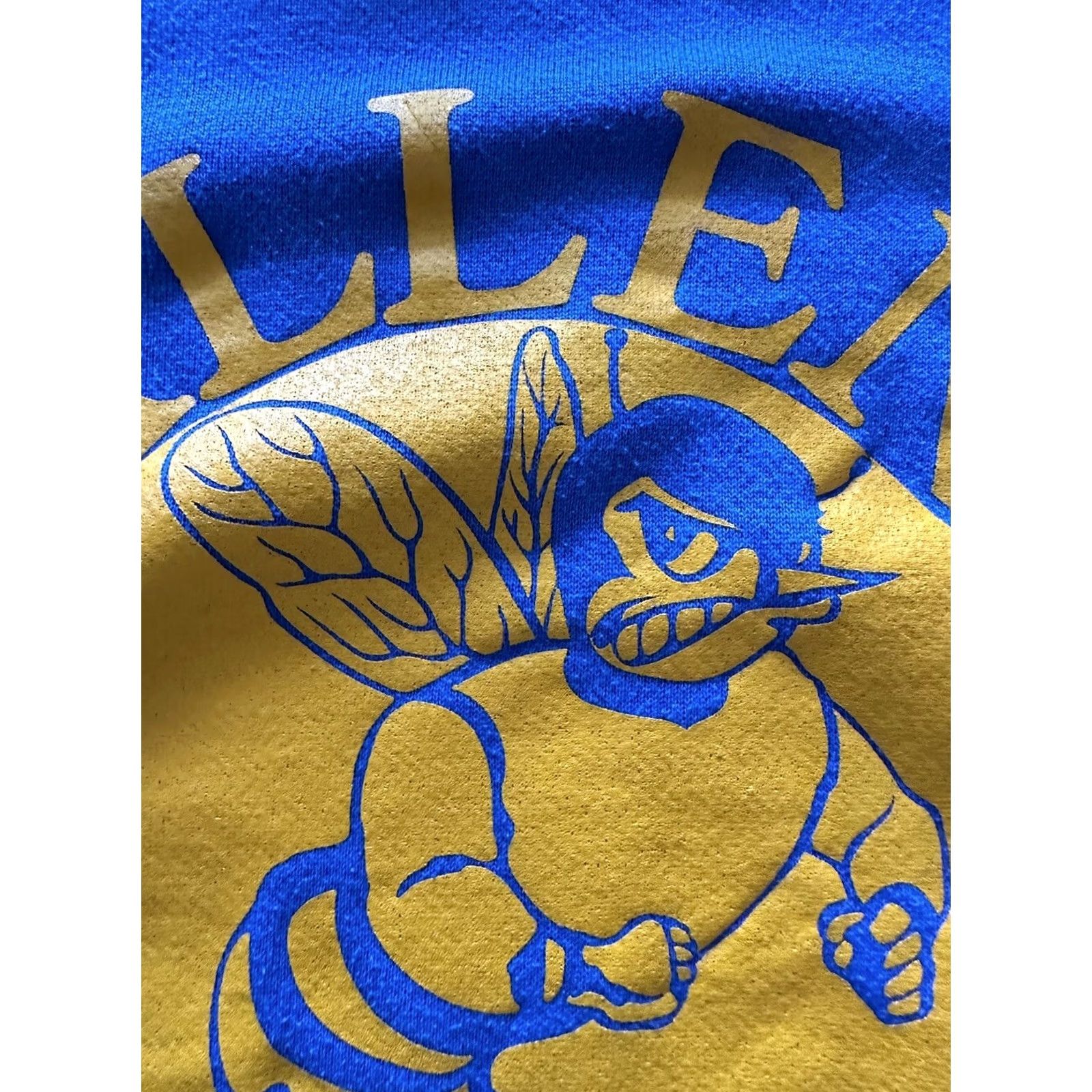Tultex VINTAGE Tultex Allen University HBCU Crewneck Blue L Sweatshirt Mens Size US L / EU 52-54 / 3 - 3 Thumbnail