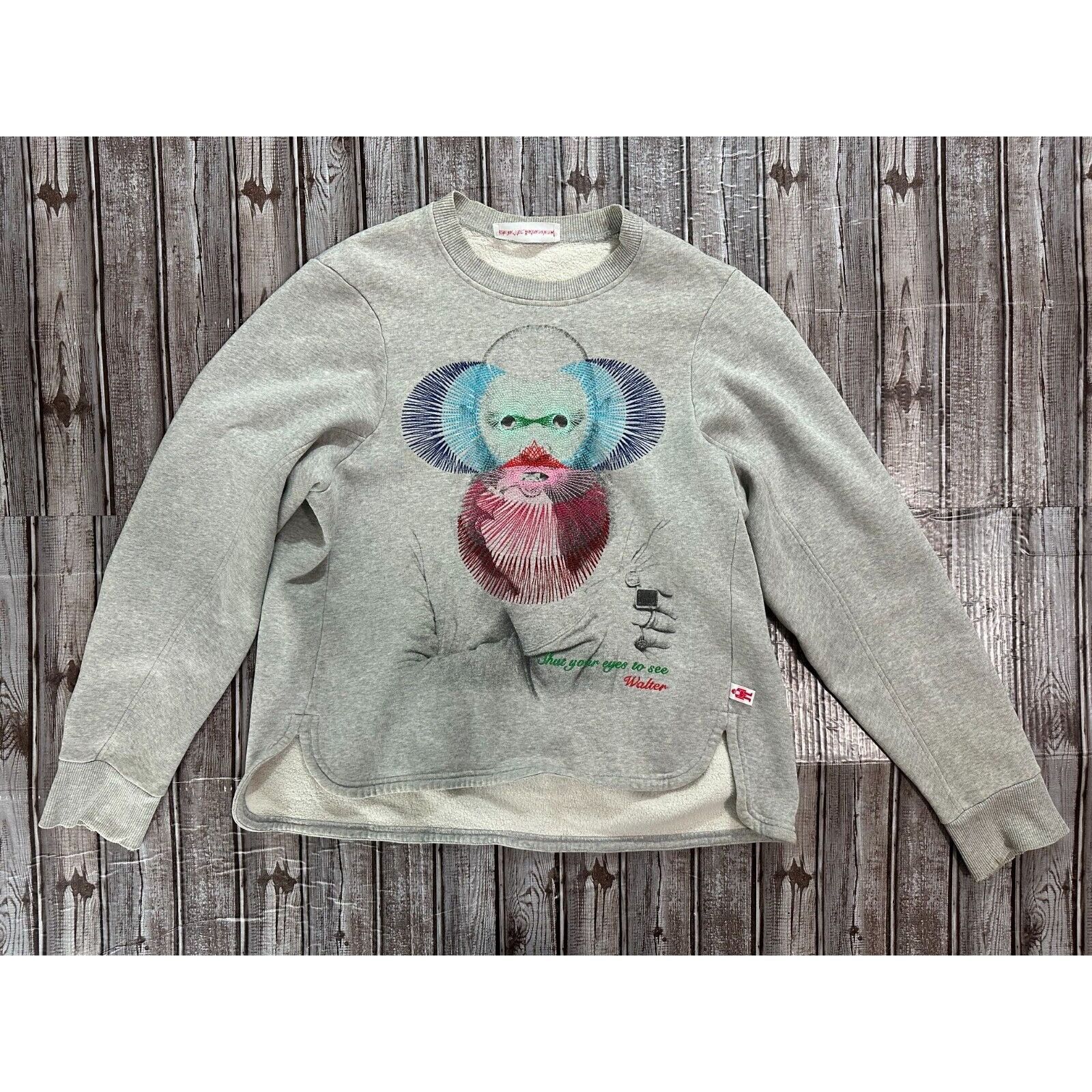 Walter van beirendonck grafic embroidered Sweatshirt color g