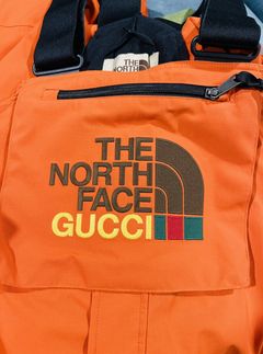 Shop GUCCI 2022-23FW The North Face x Gucci fleece shorts (673725