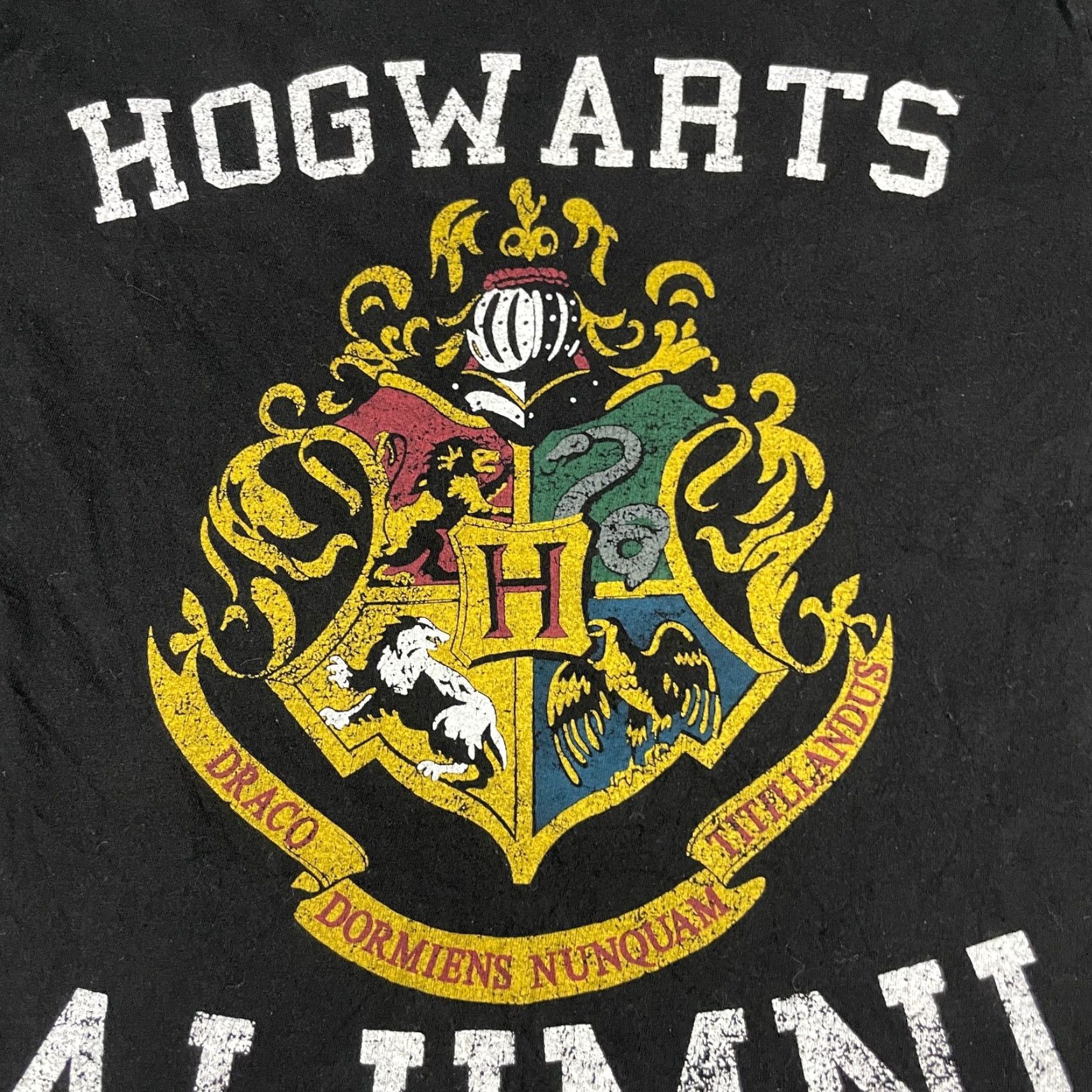 Vintage Hogwarts Potter Harry Potter Tshirt Adult Large Gray Crew Neck Shirt Mens Football Logo Alumni Team Crest Confert Hogwarts Alumni Shirt Gray Size US L / EU 52-54 / 3 - 4 Thumbnail