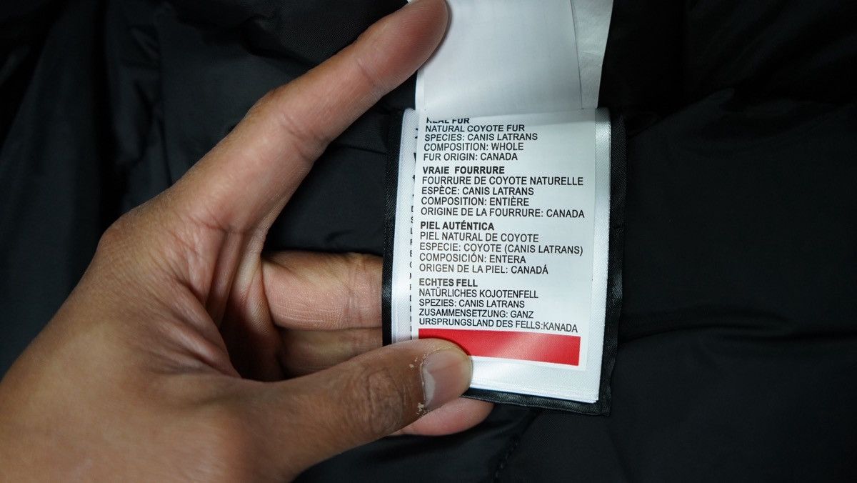 Canada Goose Canada Goose Expedition Parka Jacket Size US L / EU 52-54 / 3 - 19 Thumbnail