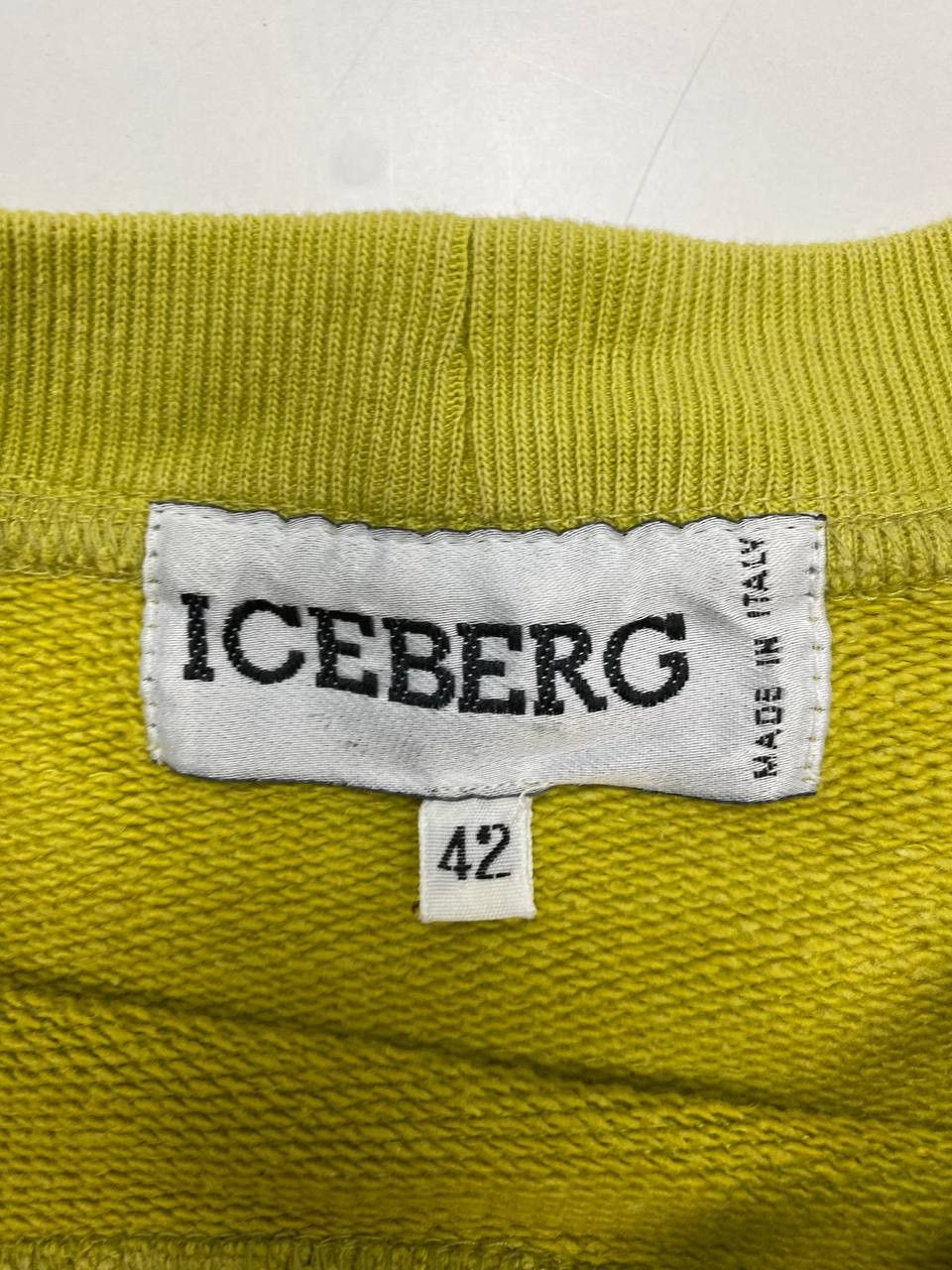 Iceberg Iceberg 2000s Green 42 Vintage Sweatshirt "Save the Amazon" Size M / US 6-8 / IT 42-44 - 2 Thumbnail