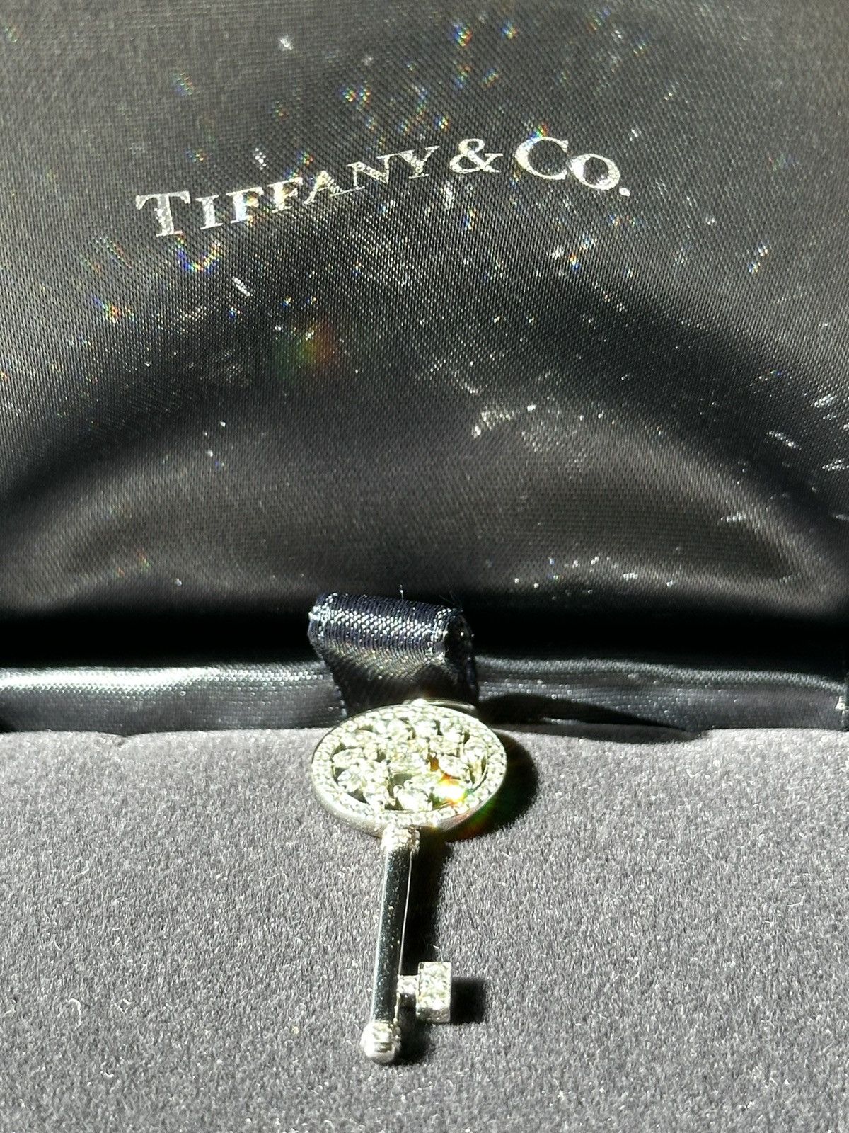 Tiffany & Co. Platinum Victoria Vine Key Pendant w 24in chain and Mini Key Size ONE SIZE - 11 Thumbnail