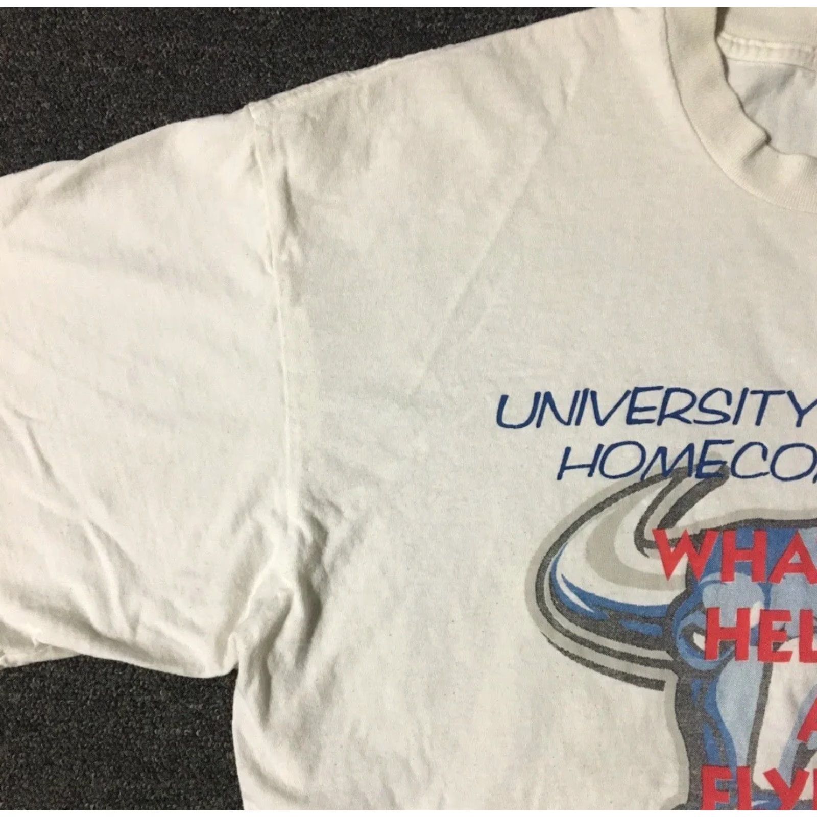 Vintage VINTAGE 90s UB Bulls Vs Hofstra Flying Dutchmen What The Hell Is A College PE T-Shirt XL White University at Buffalo Mens Graphic Tee Size US XL / EU 56 / 4 - 6 Thumbnail