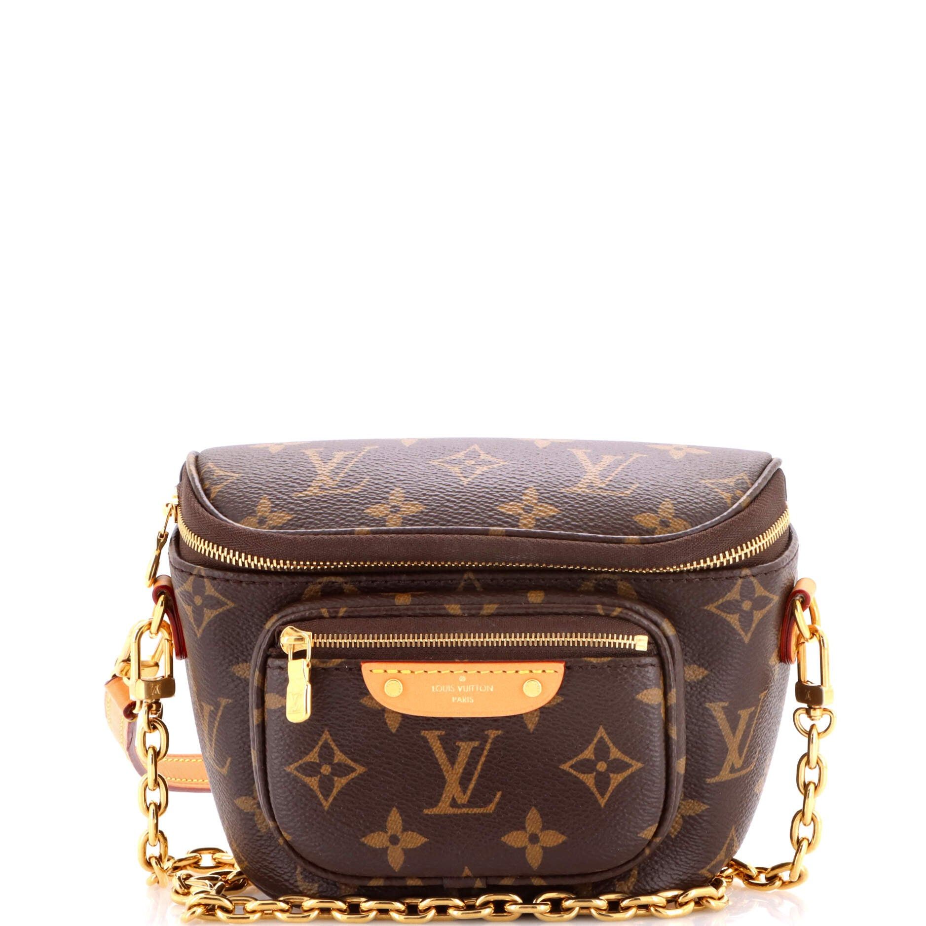 Louis Vuitton Bum Bag Size ONE SIZE - 1 Thumbnail
