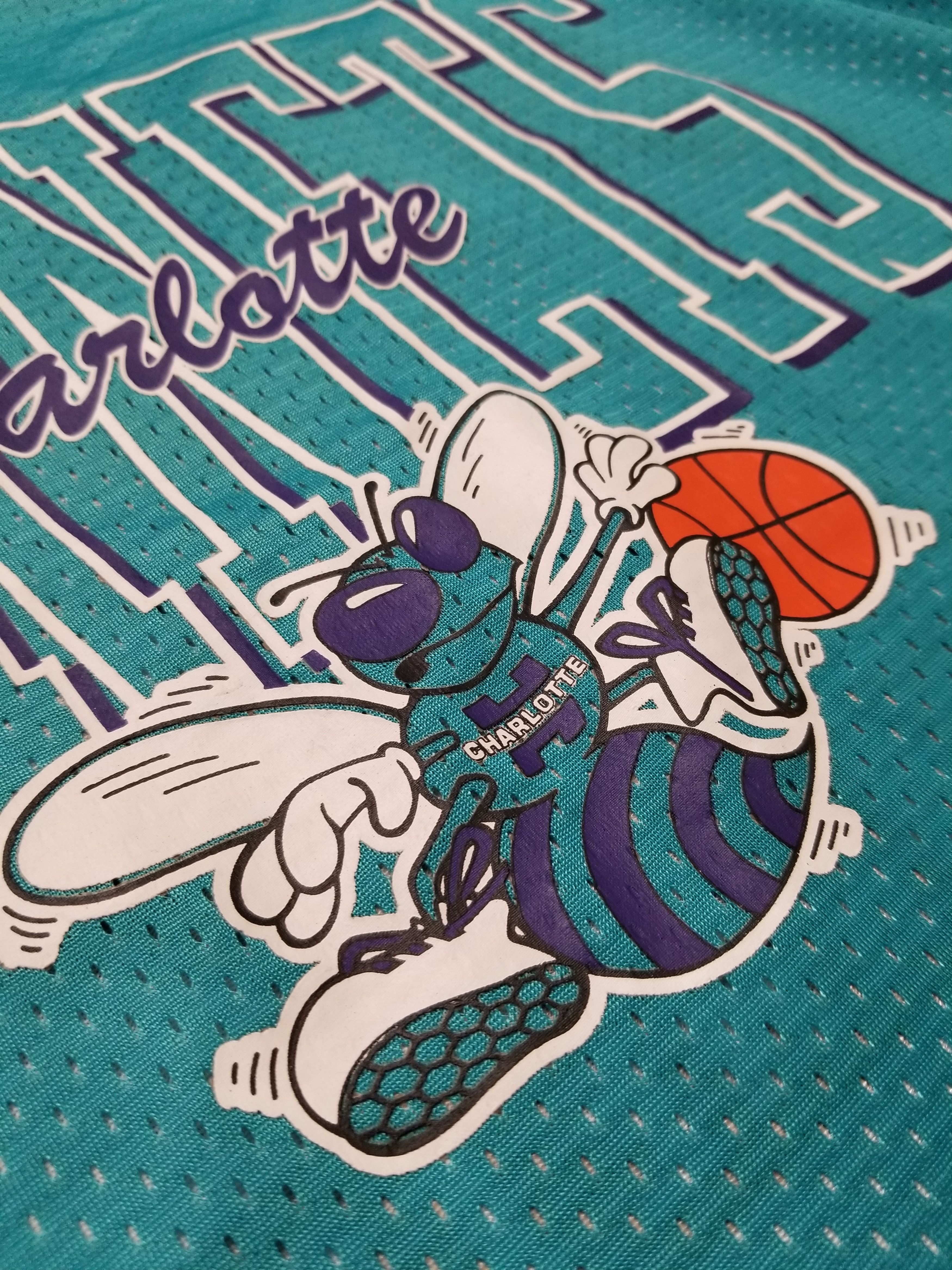 Mitchell & Ness NBA Charlotte Hornets Mitchell & Ness Reversible Jersey Size US S / EU 44-46 / 1 - 14 Thumbnail