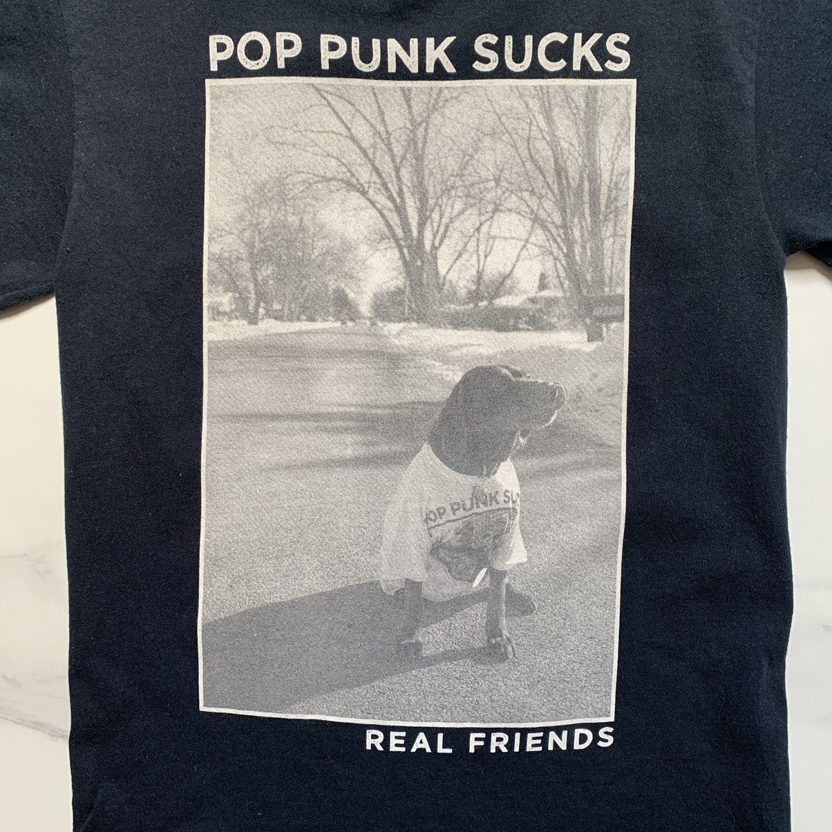 Band Tees × POP MAGAZINE Real Friends Pop Punk Sucks Dog T-Shirt Size US S / EU 44-46 / 1 - 4 Thumbnail