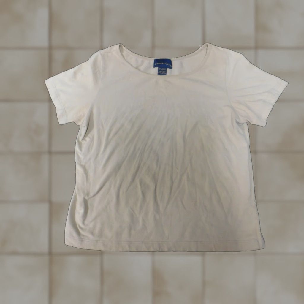 Charter Club Charter Club Womens Shirt L Beige Crew Neck Short Sleeve Pullover Stretch Casual Blouse Basic T-Shirt Size L / US 10 / IT 46 - 1 Thumbnail