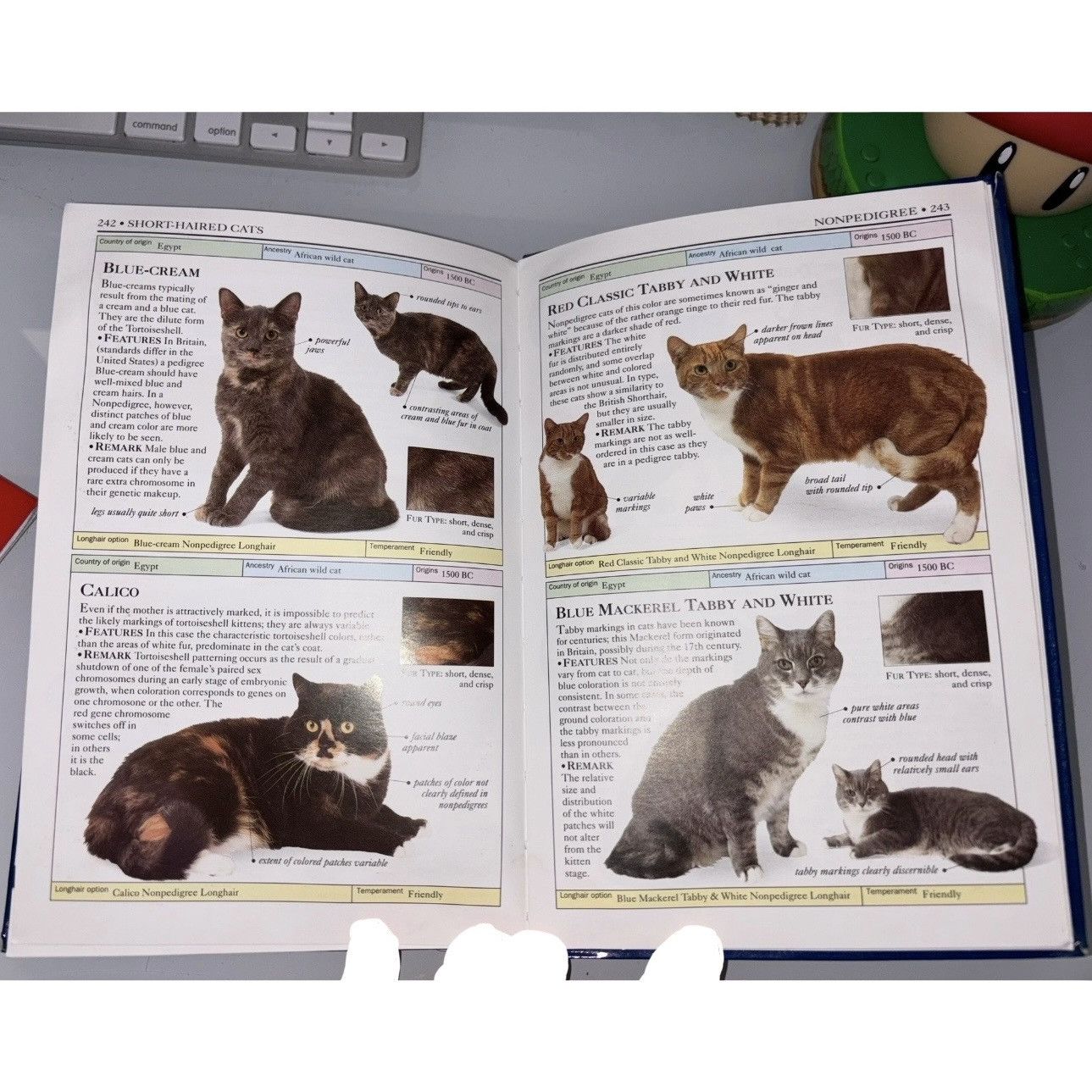 Other × Vintage SMITHSONIAN HANDBOOK OF CATS DK Publishing Illustrated Cats Size ONE SIZE - 5 Thumbnail