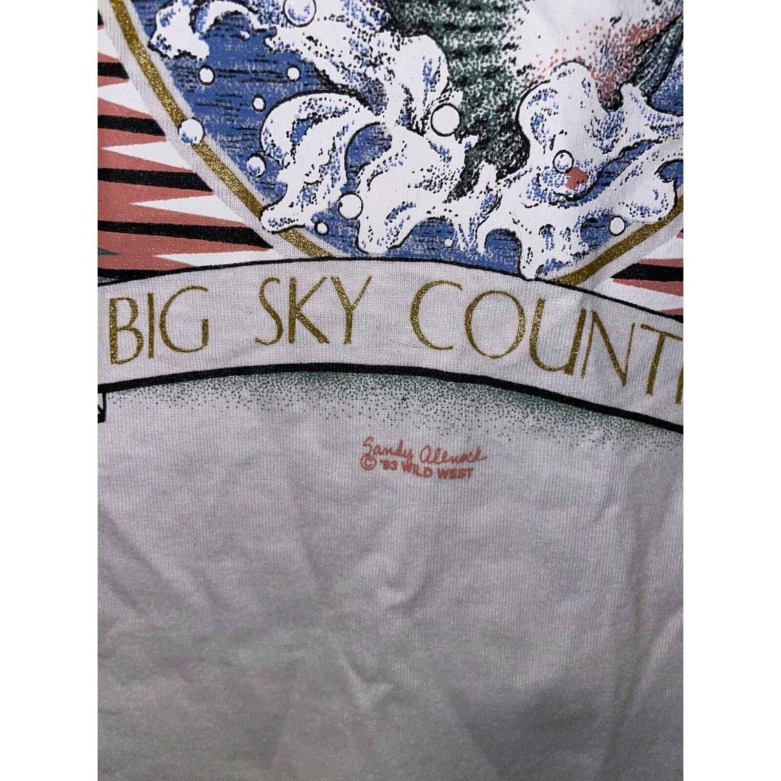 Jerzees VTG Test Print Shirt Virginia Montana Fish Trout White Tee Size US L / EU 52-54 / 3 - 10 Thumbnail