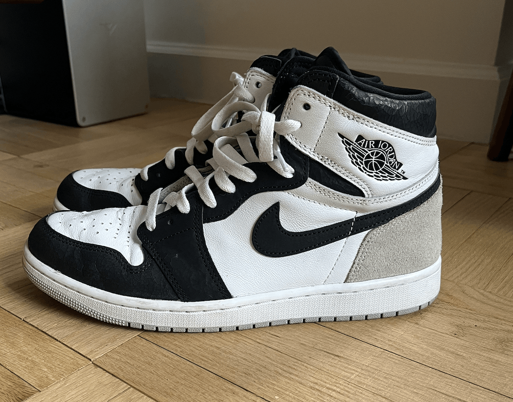 Air Jordan High OG Bleached Coral 10