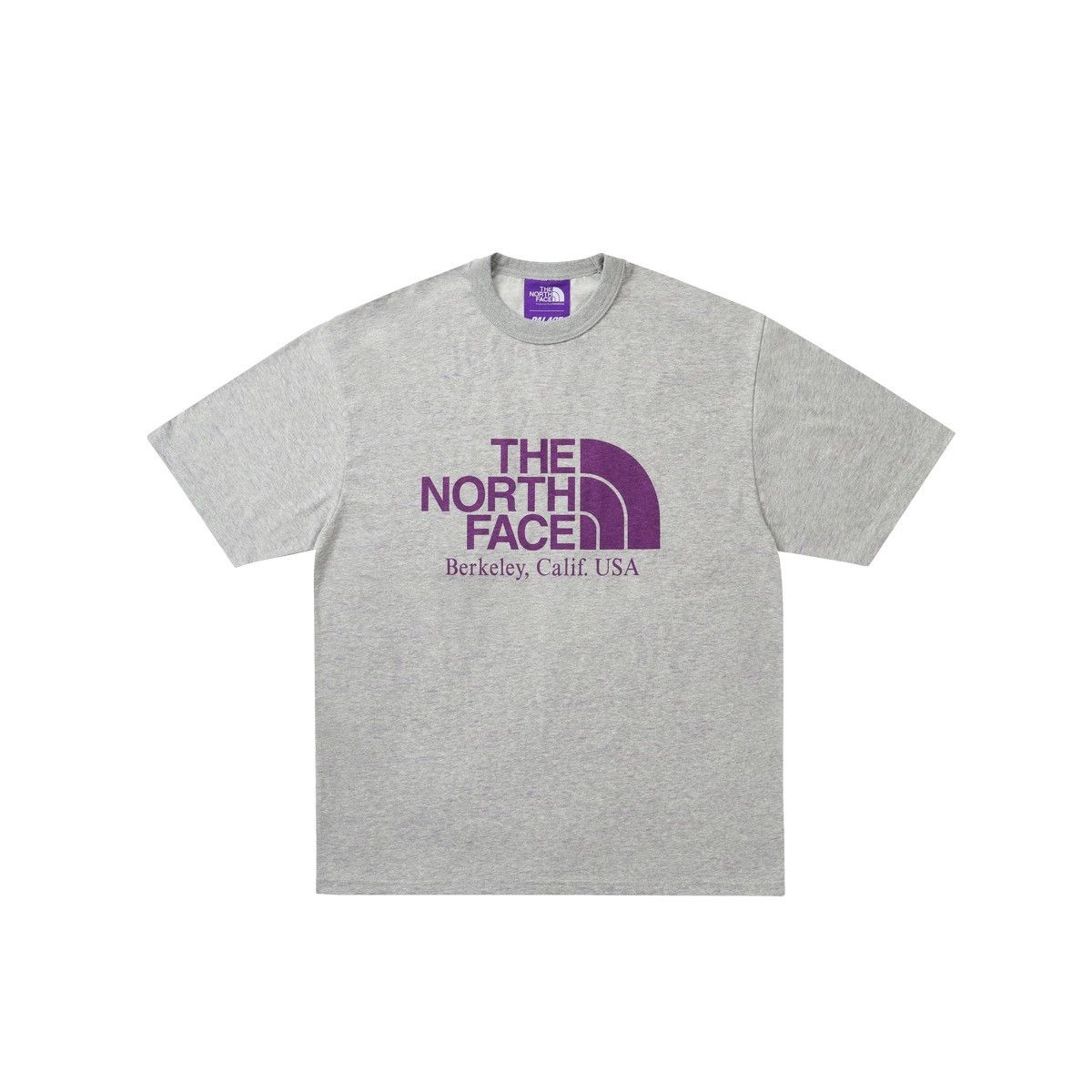 Palace Palace North Face Purple Label Tee Size ONE SIZE - 2 Thumbnail