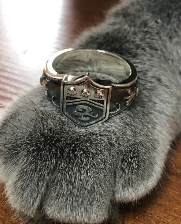 Jewelry Modern Jewelry Rings Open Size Chrome Ring (Size 7-13) Size ONE SIZE - 6 Thumbnail
