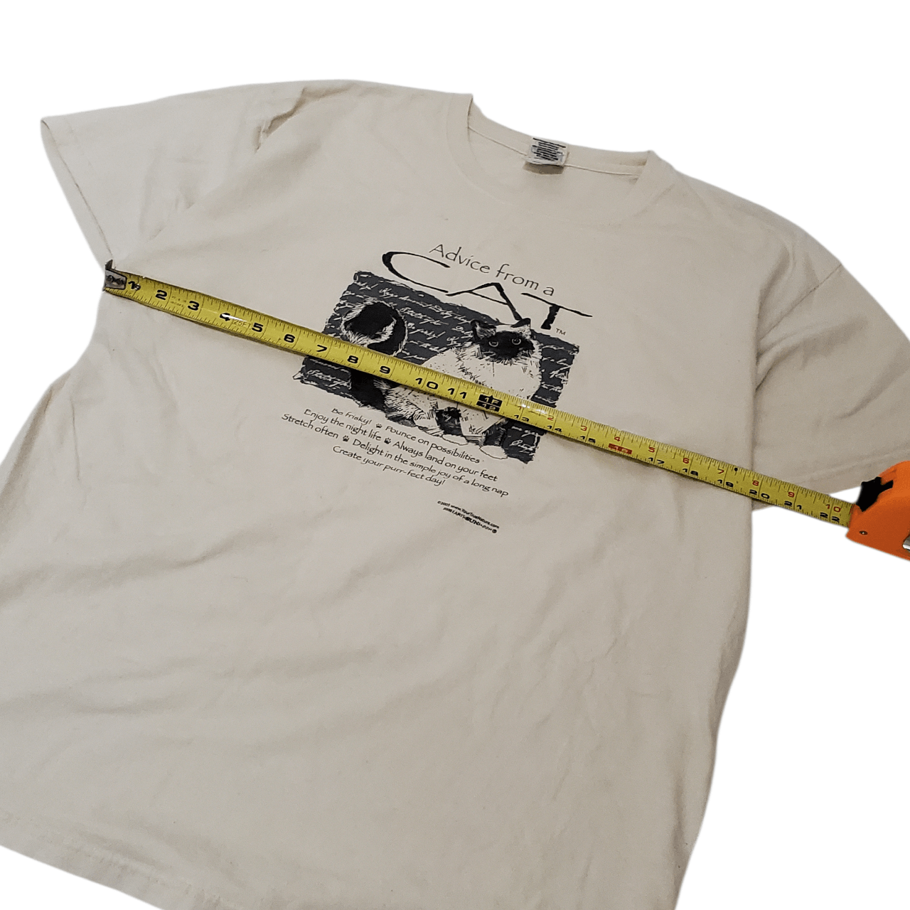 Vintage Y2K Advice From A Cat T-Shirt Size US XL / EU 56 / 4 - 6 Thumbnail