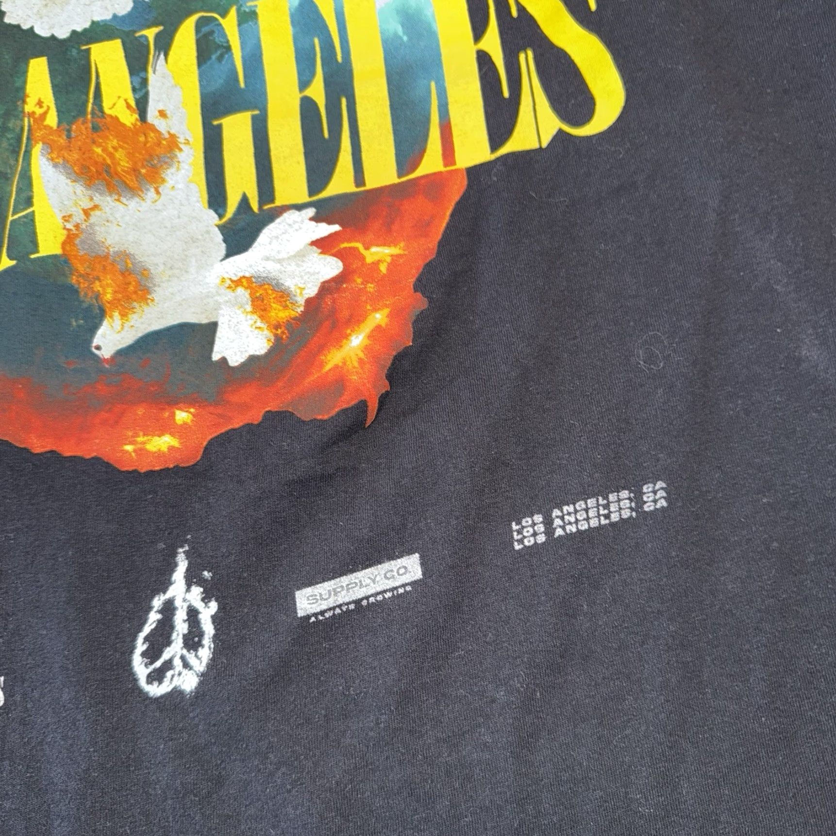 Vintage Civil Regime T-Shirt Bird Earth Flames Black Large Mens Short Sleeve Crew Neck Graphic Print 26 by 20.5 pit to pit Size US L / EU 52-54 / 3 - 7 Thumbnail
