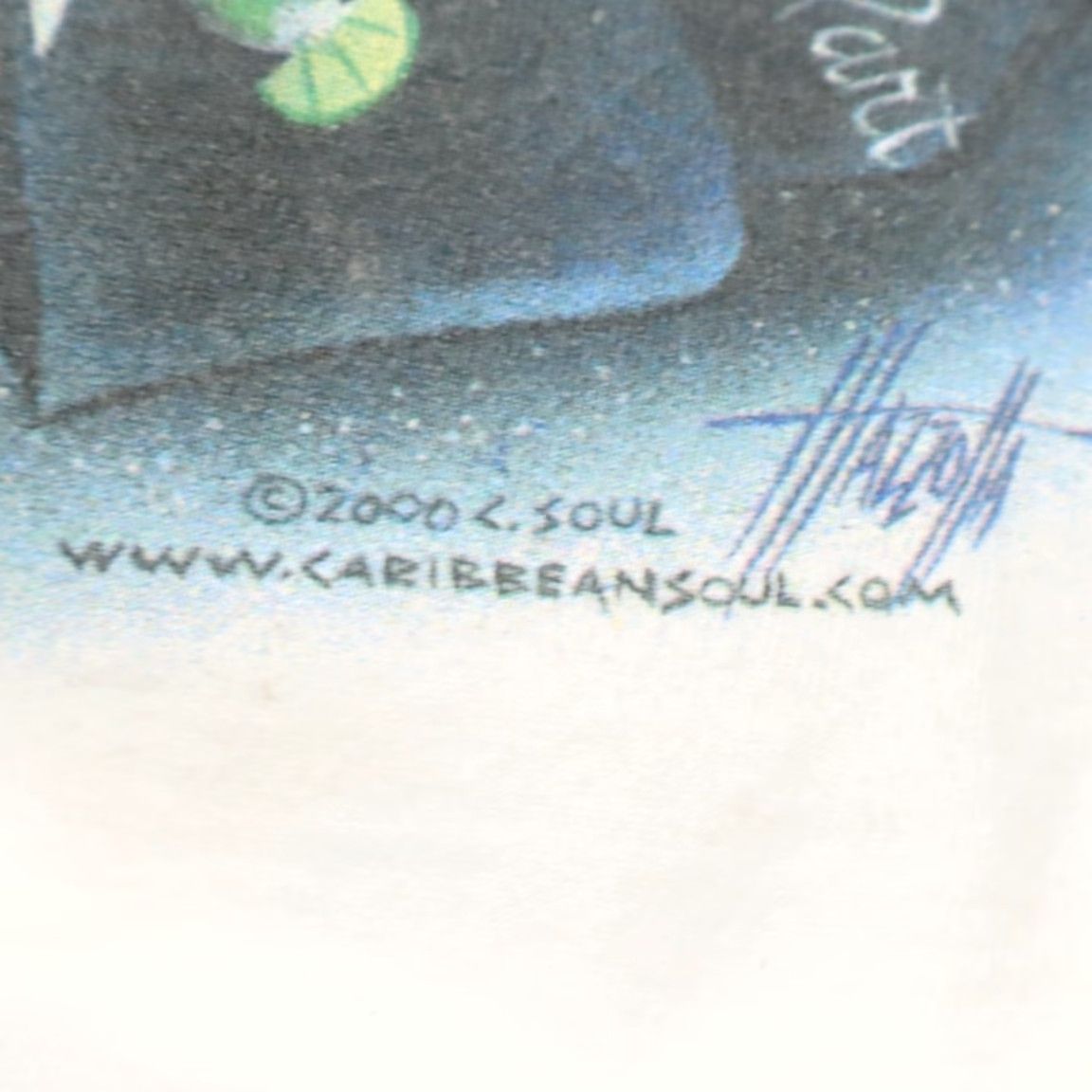 Vintage VINTAGE Caribbean Soul Parrot Got Salt? Tank Top White Men's XL Shirt Size US XL / EU 56 / 4 - 7 Thumbnail