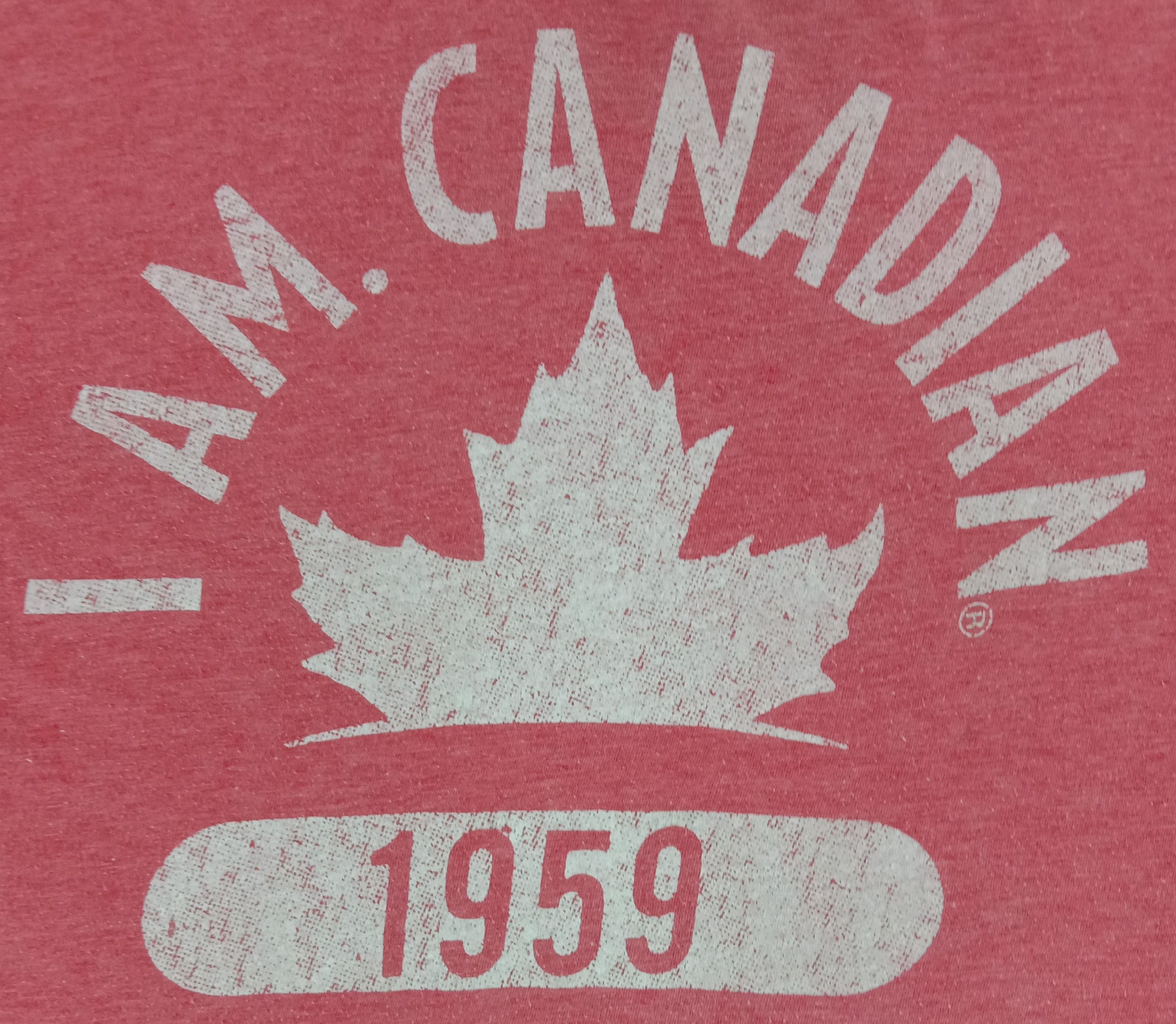 Vintage Vintage Molson Canadian x I Am Canadian 1959 T Shirt Size US L / EU 52-54 / 3 - 2 Thumbnail