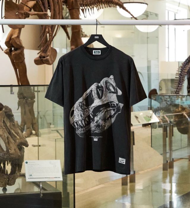 Kith Kith AMNH T-Rex Vintage Tee | Grailed