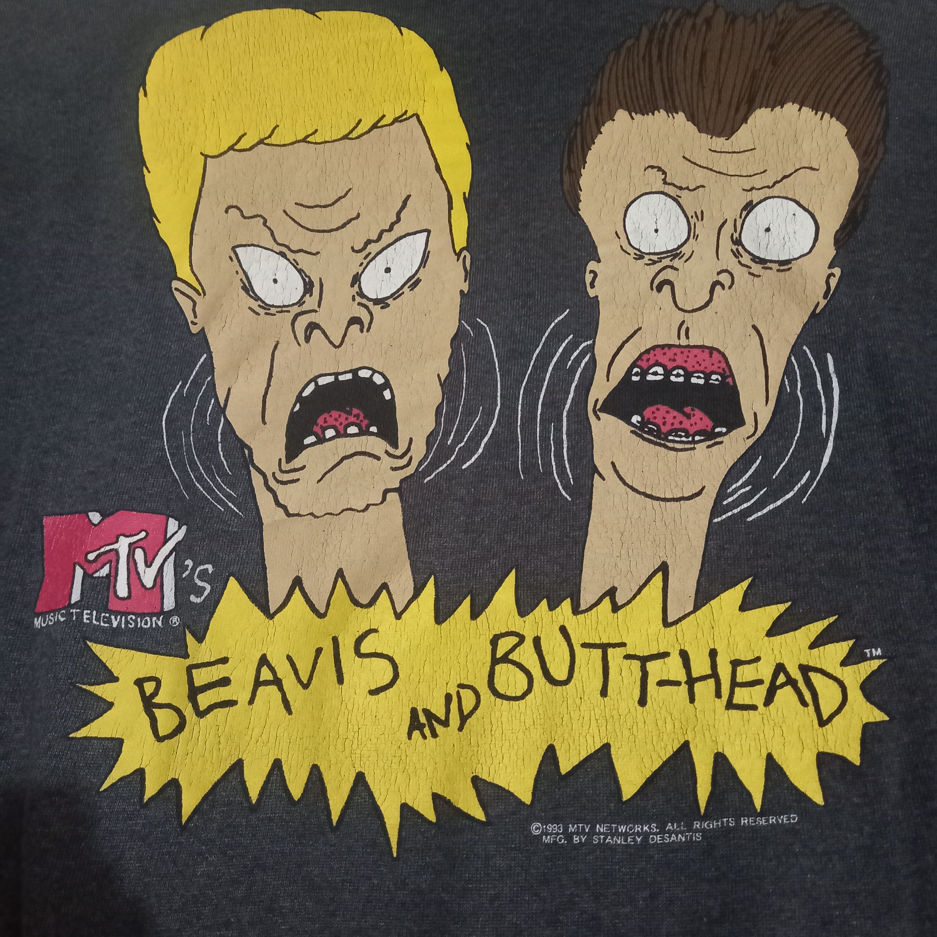 Tultex hoodie beavis and butt head Size US XL / EU 56 / 4 - 1 Thumbnail