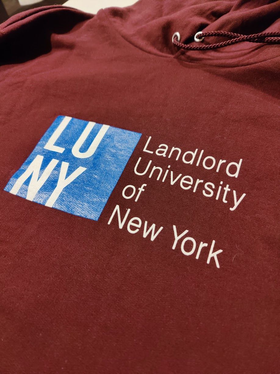 LANDLORD Landlord University of New York (LUNY) Hoodie Size US M / EU 48-50 / 2 - 3 Thumbnail