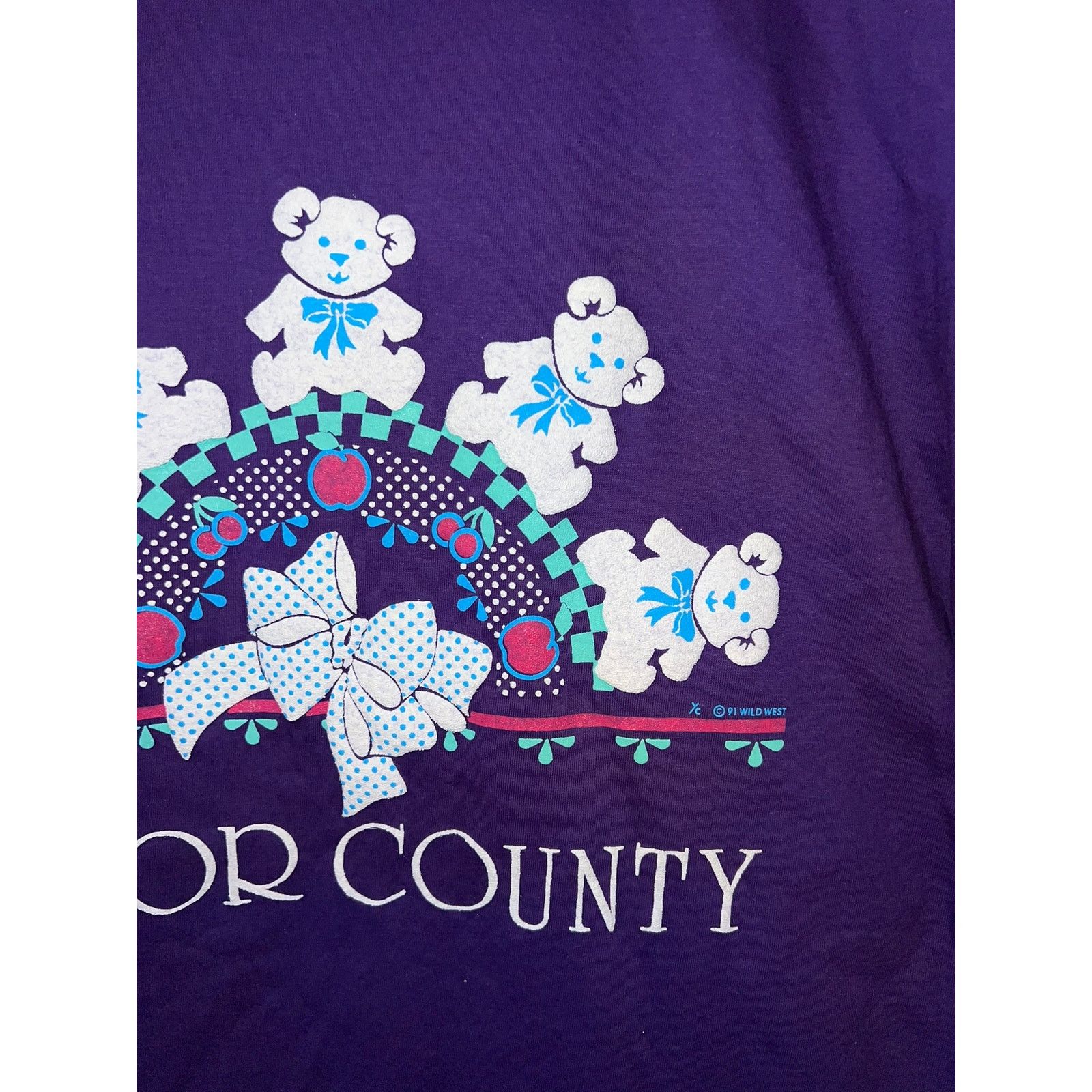 Jerzees Vintage Door County Shirt Purple bear Nature Tee VTG 90s L Size US L / EU 52-54 / 3 - 3 Thumbnail