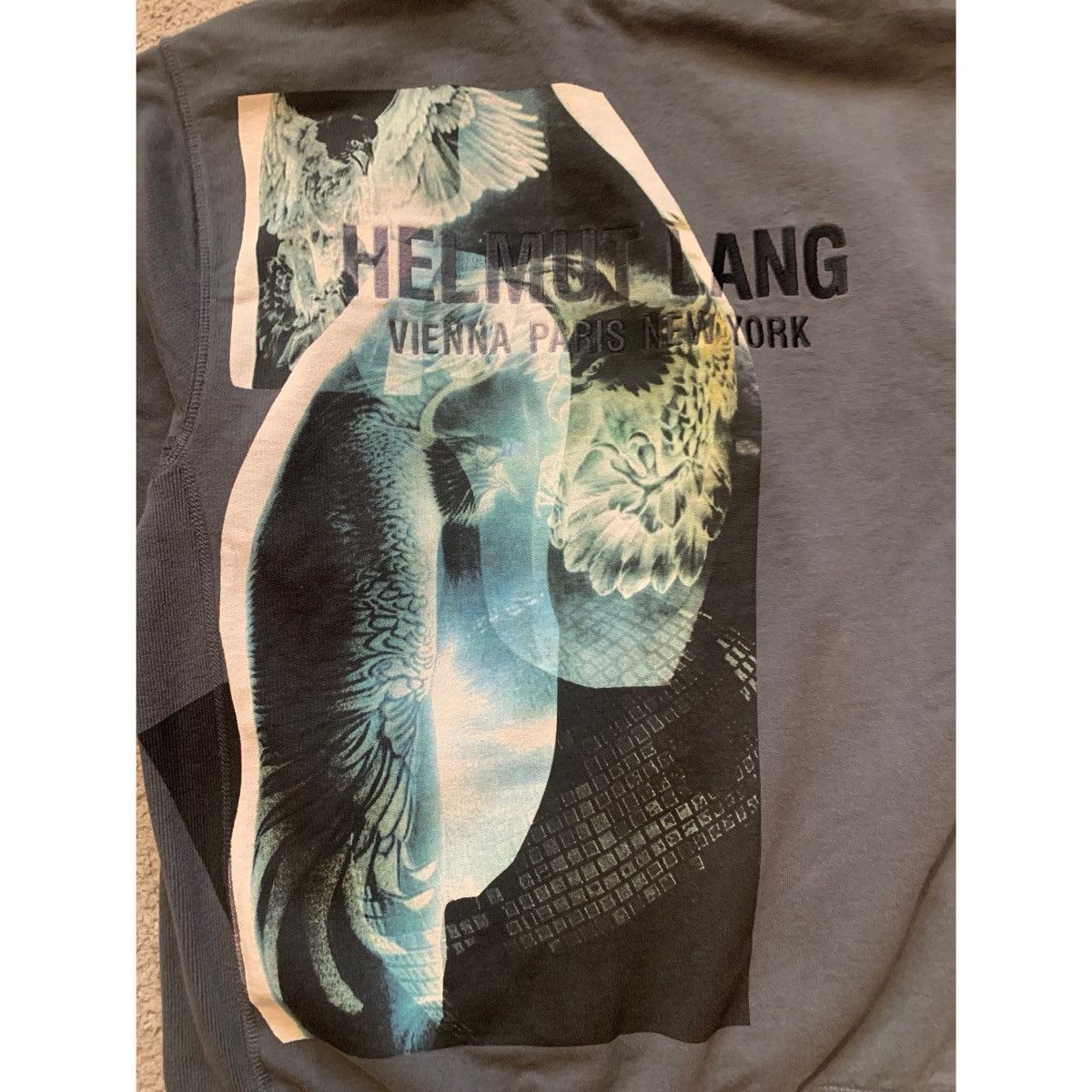 Helmut Lang HELMUT LANG EAGLE STANDARD HOODIE Size US M / EU 48-50 / 2 - 15 Thumbnail