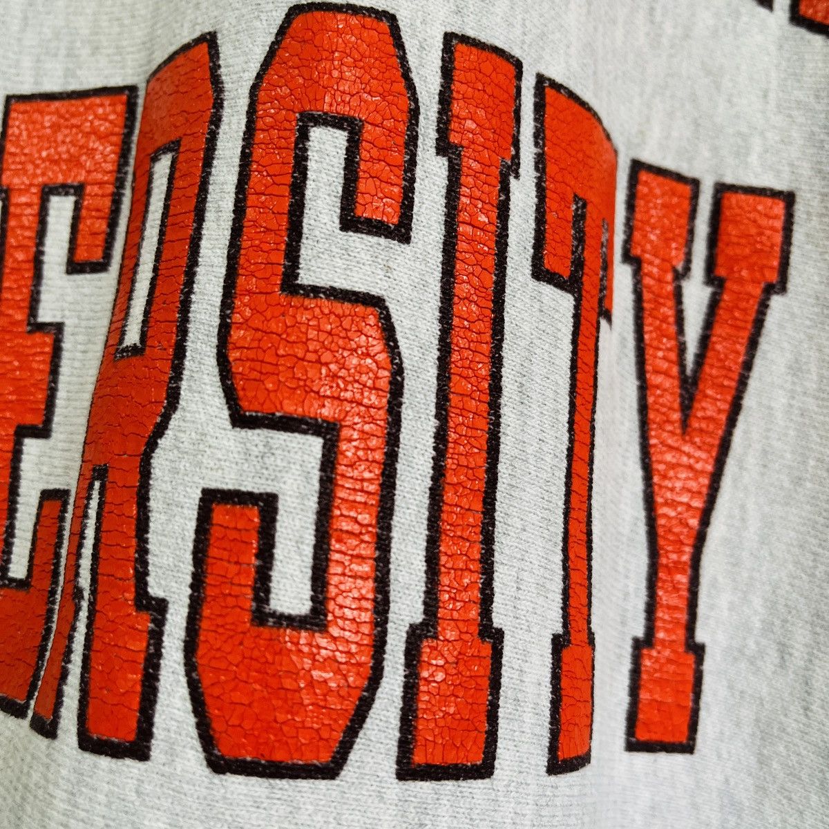 Champion × Vintage Champion Reverse Weave Susquehanna University Sweatshirt Size US L / EU 52-54 / 3 - 12 Thumbnail