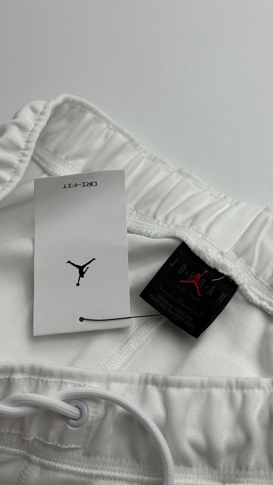 Jordan Brand Jordan Dri Fit Training Joggers Size US 34 / EU 50 - 15 Thumbnail