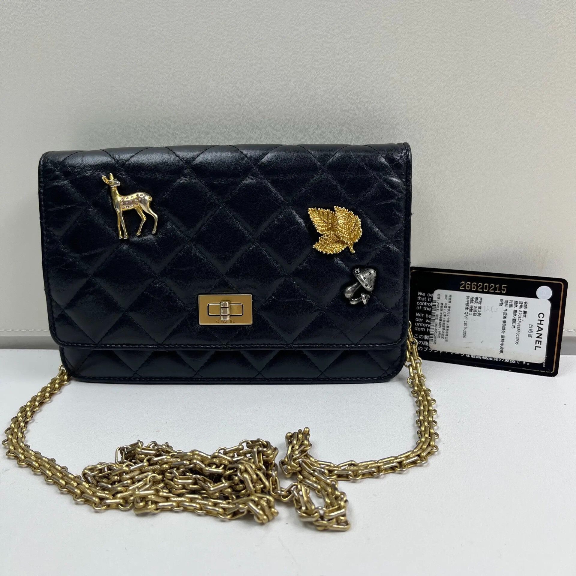 Chanel Pre-loved Bag Very good condition Size ONE SIZE - 1 Thumbnail