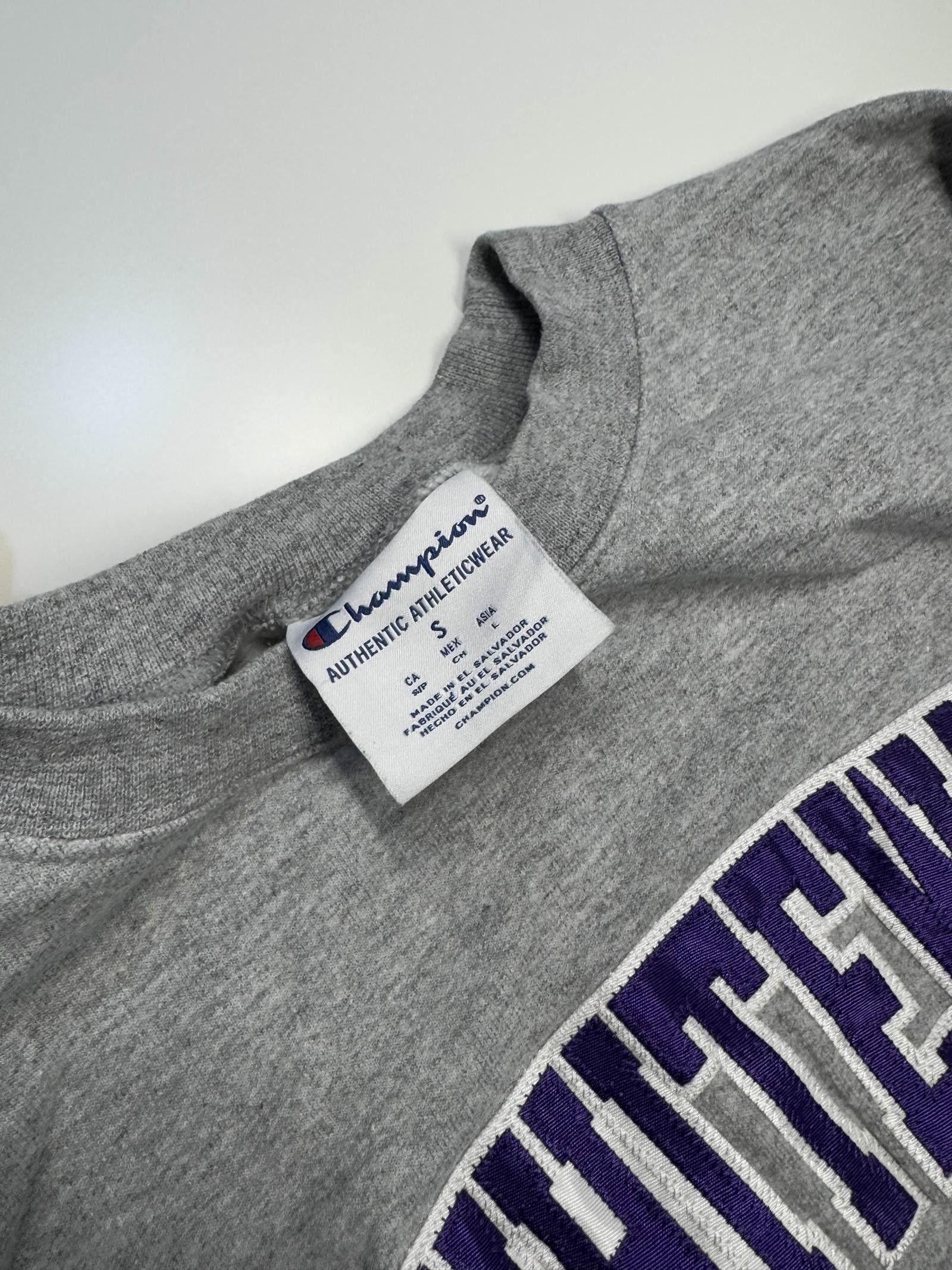 Champion Champion UW-Whitewater Warhawks Sweatshirt - Grey Size US S / EU 44-46 / 1 - 4 Thumbnail